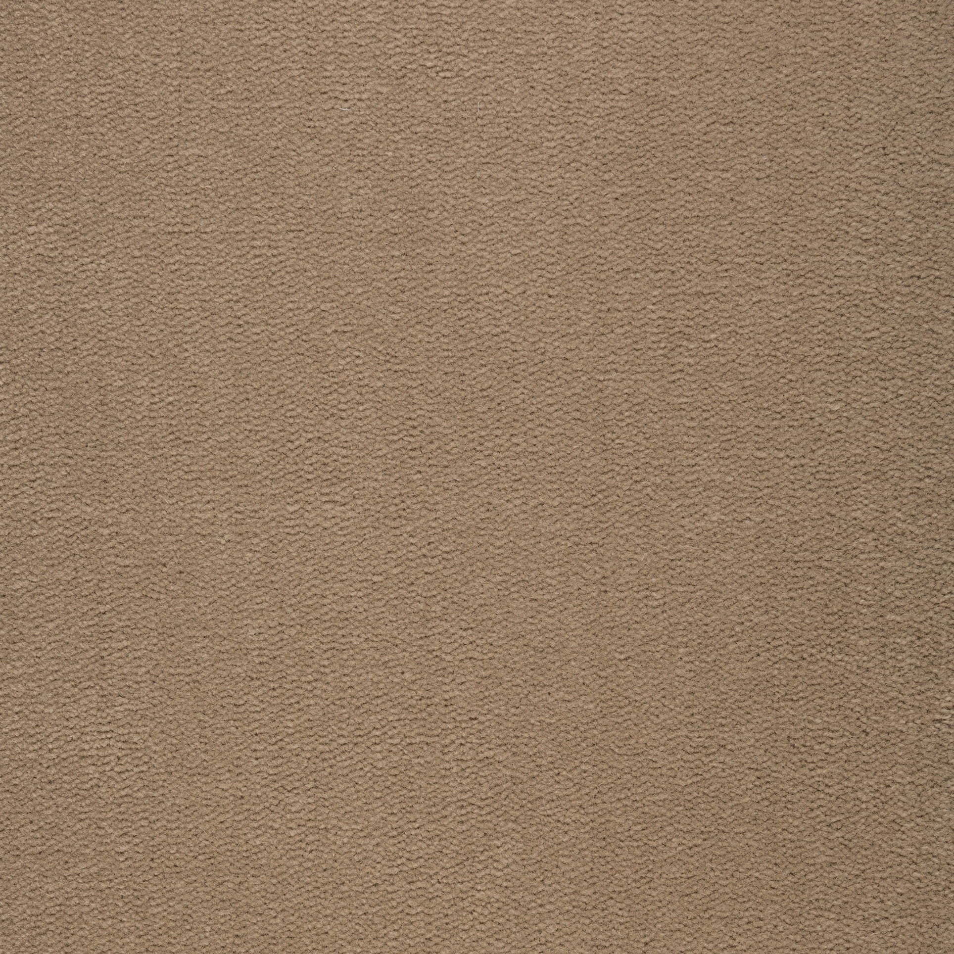 Geneva 121 Wheat