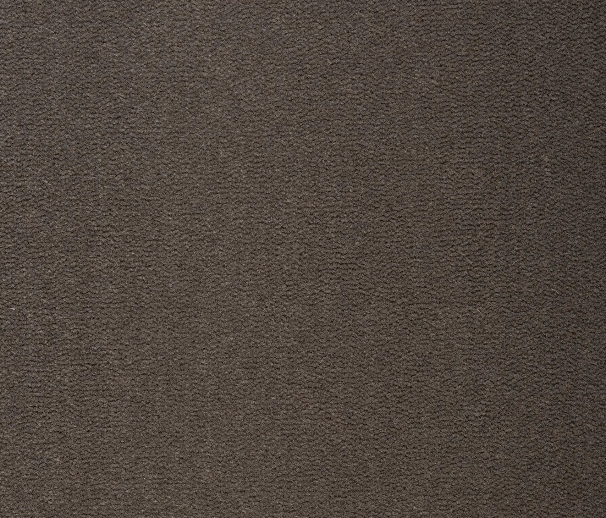 Best Wool - Geneva 169 Ash