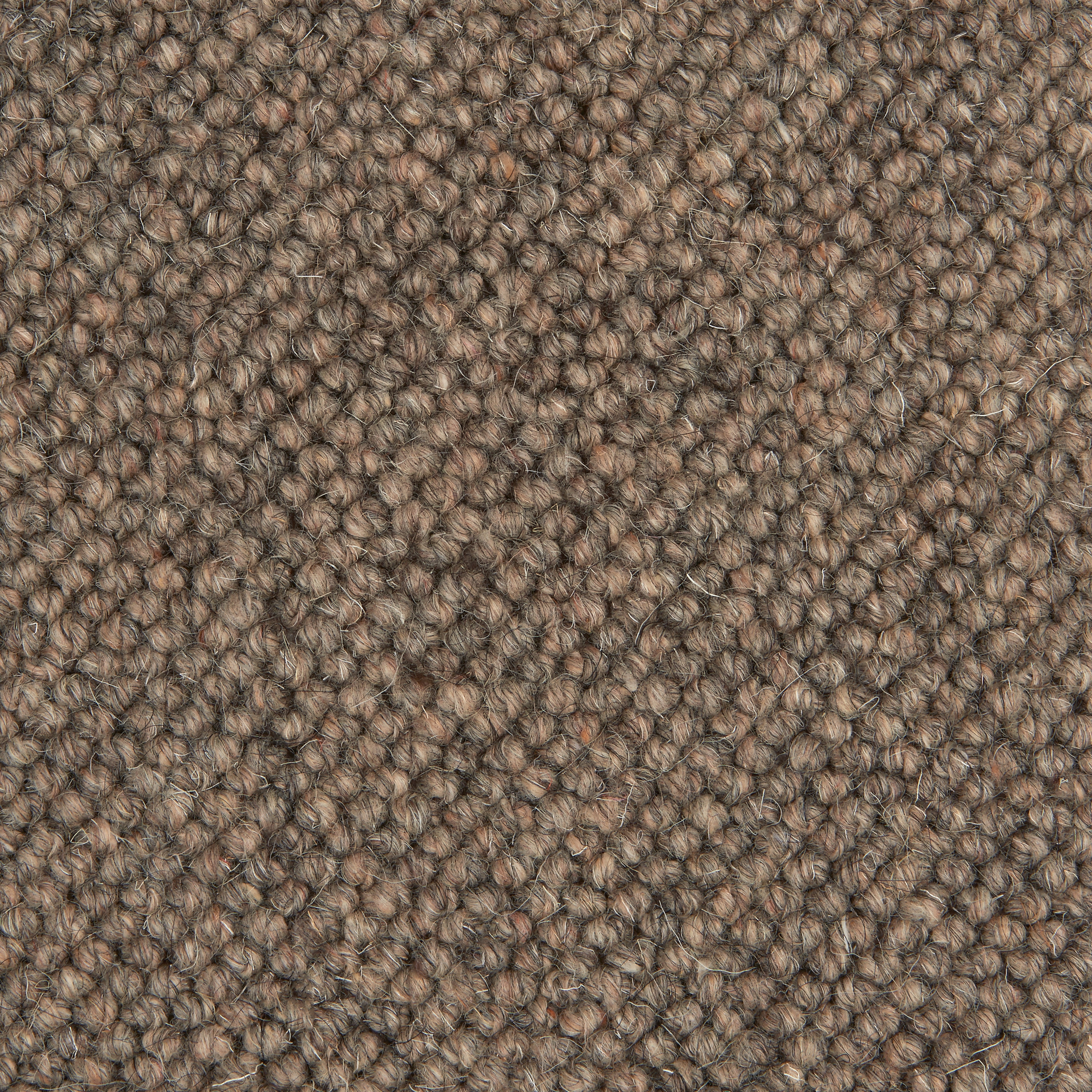 Lhasa 103 Taupe