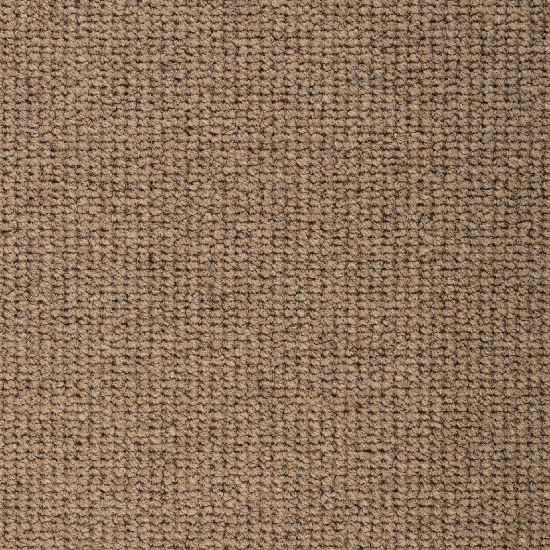 Softer Sisal 102 Wheat