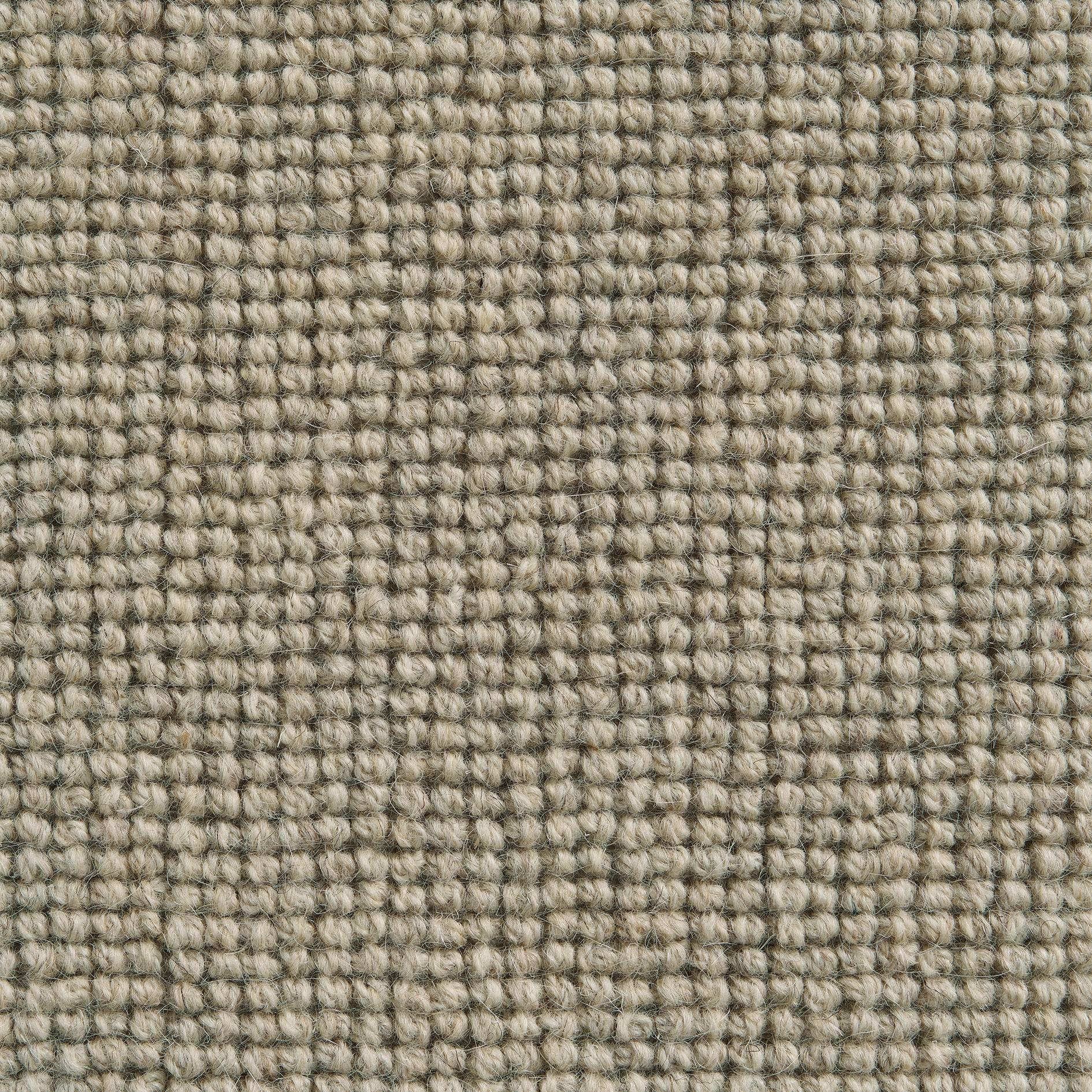 Argos 121 Wheat