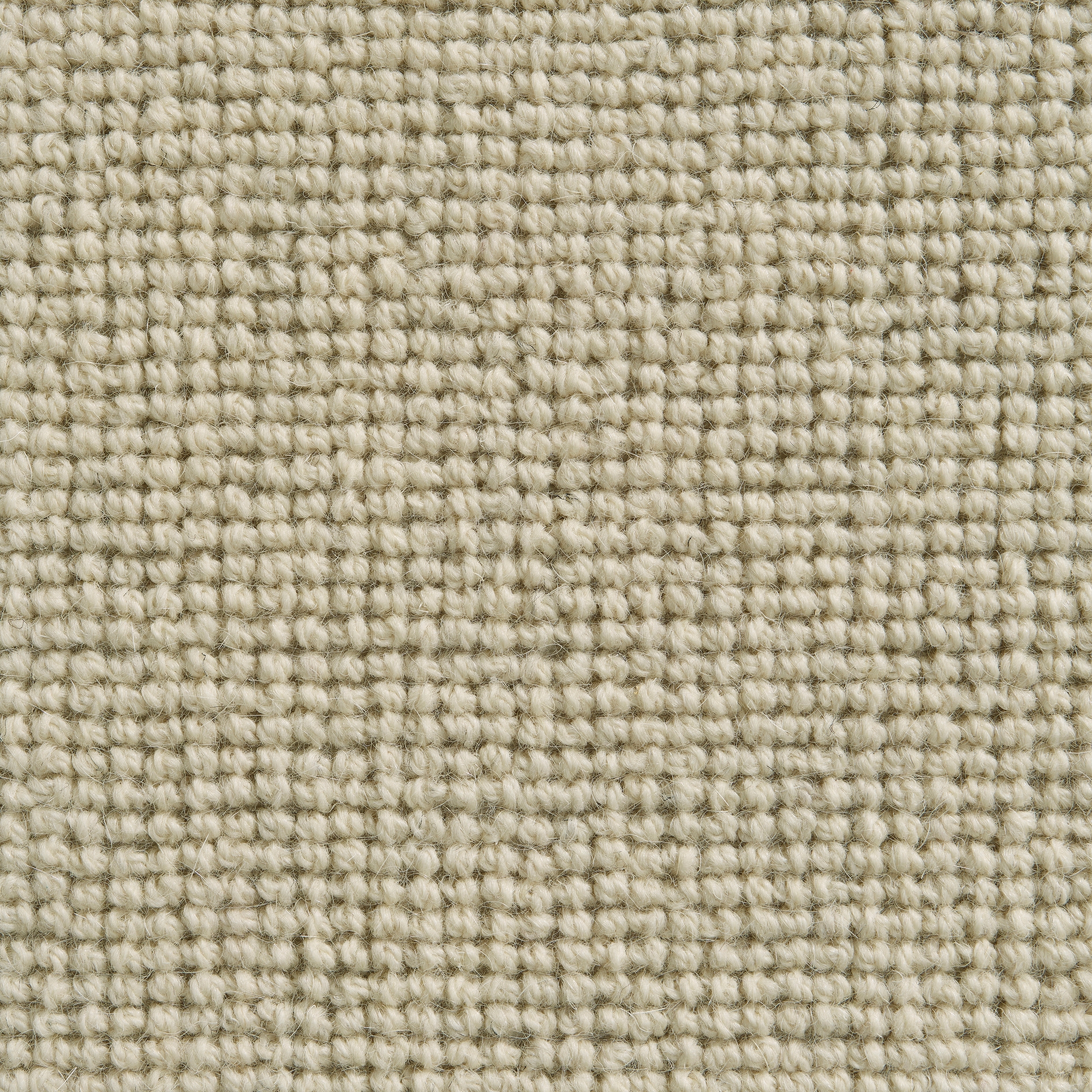 Argos 146