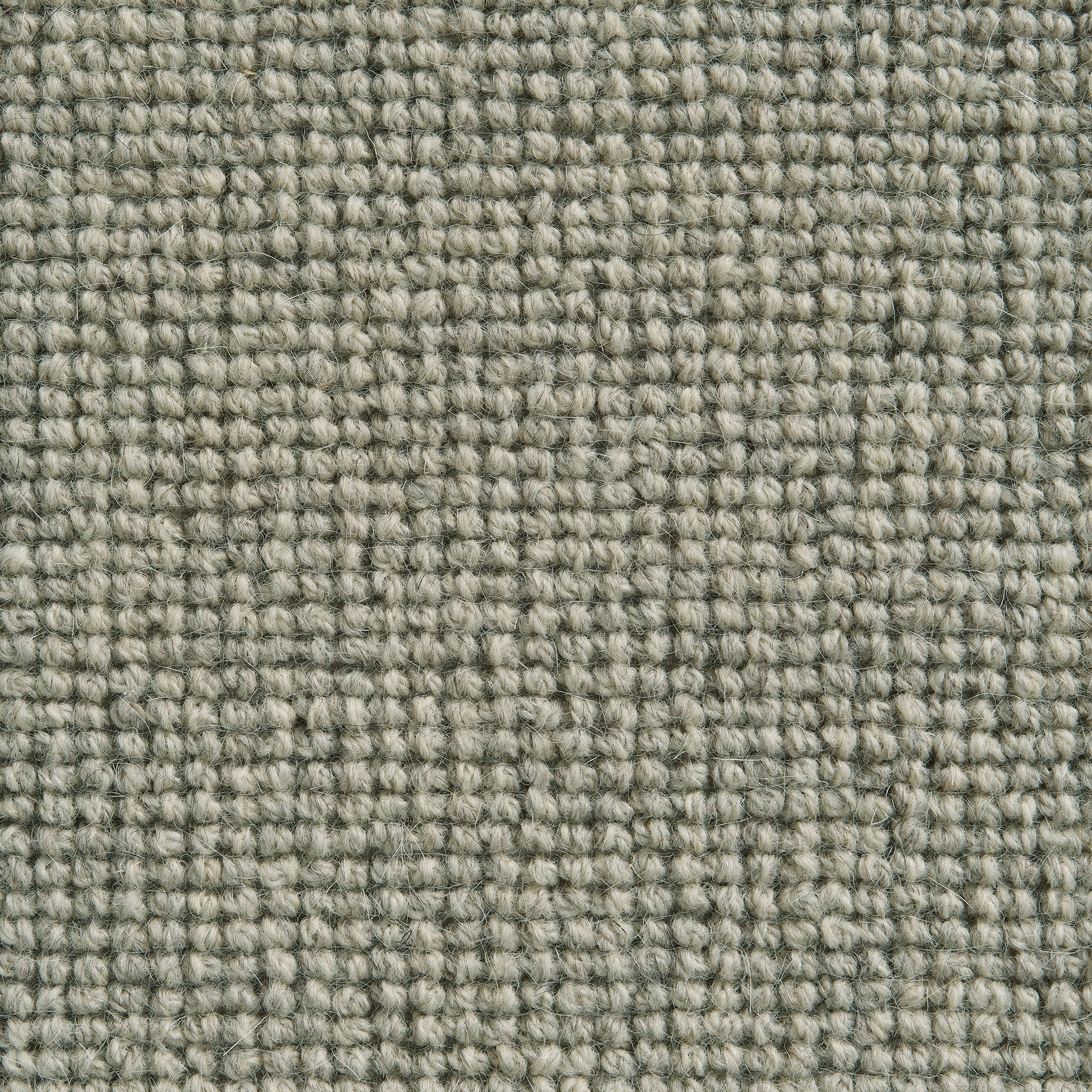 Argos 169 Pearl