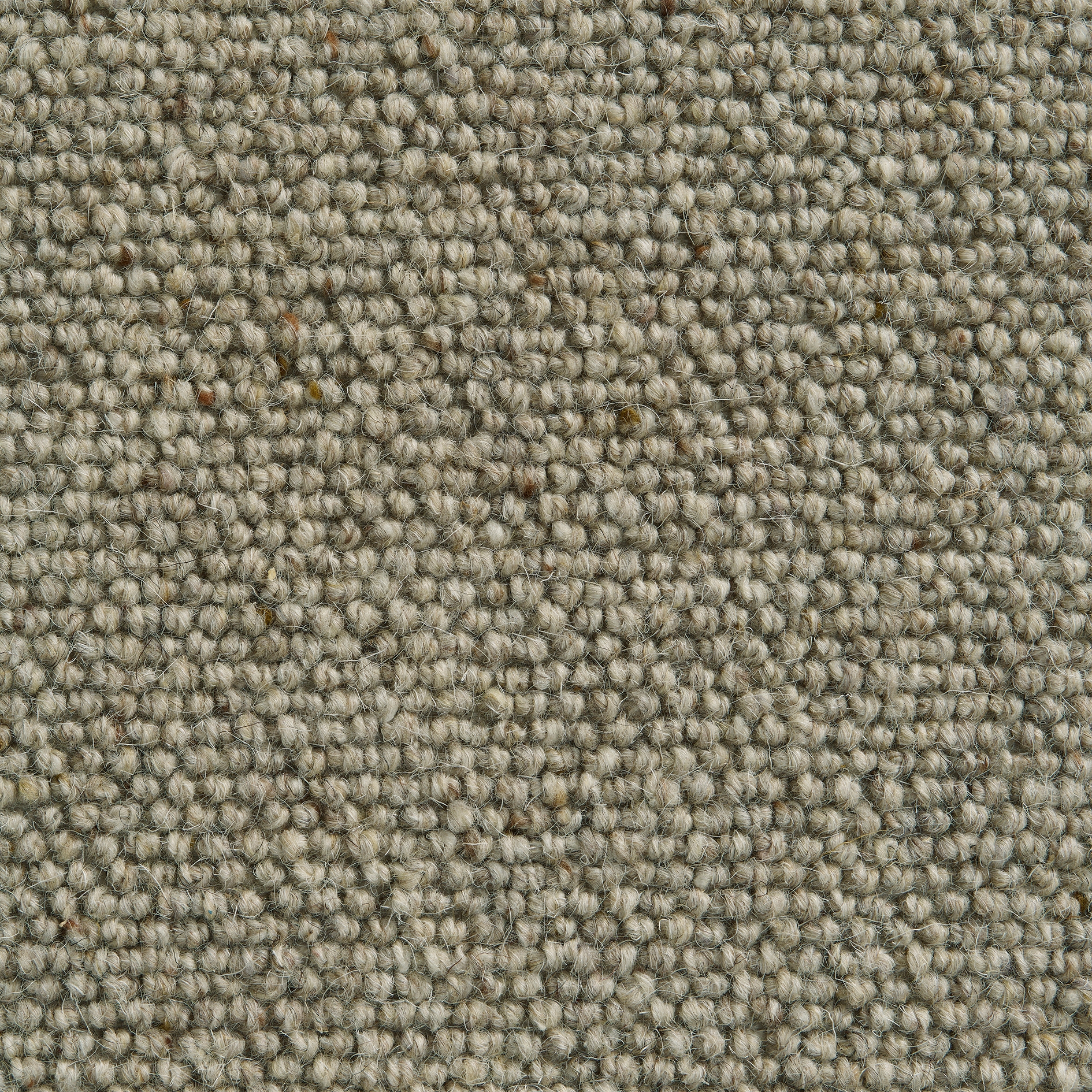 Dublin 161 Taupe