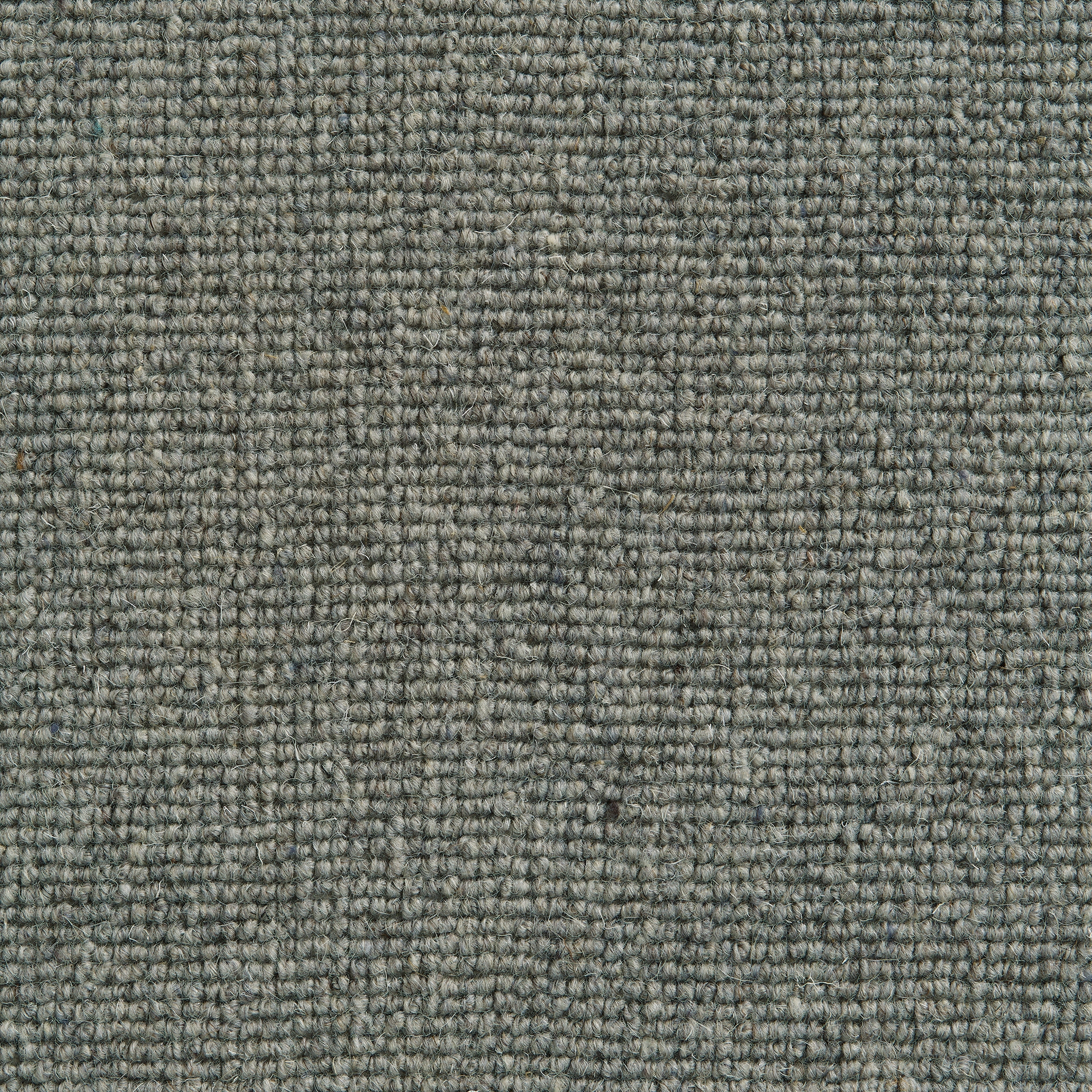 Krakow B10025 Ash