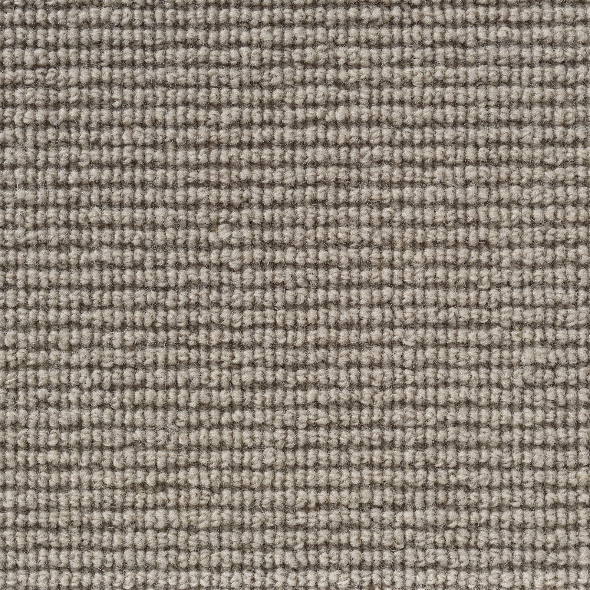 Clarity - Beige