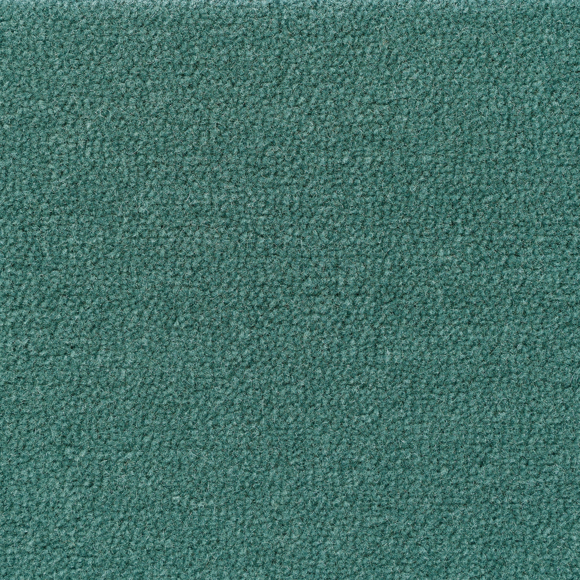 Essence - Teal