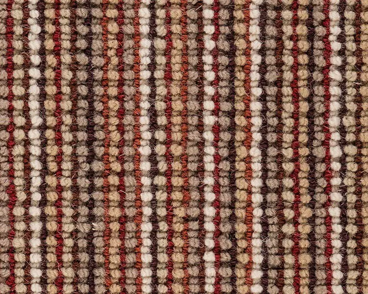 Best Wool - Evolution - Earth