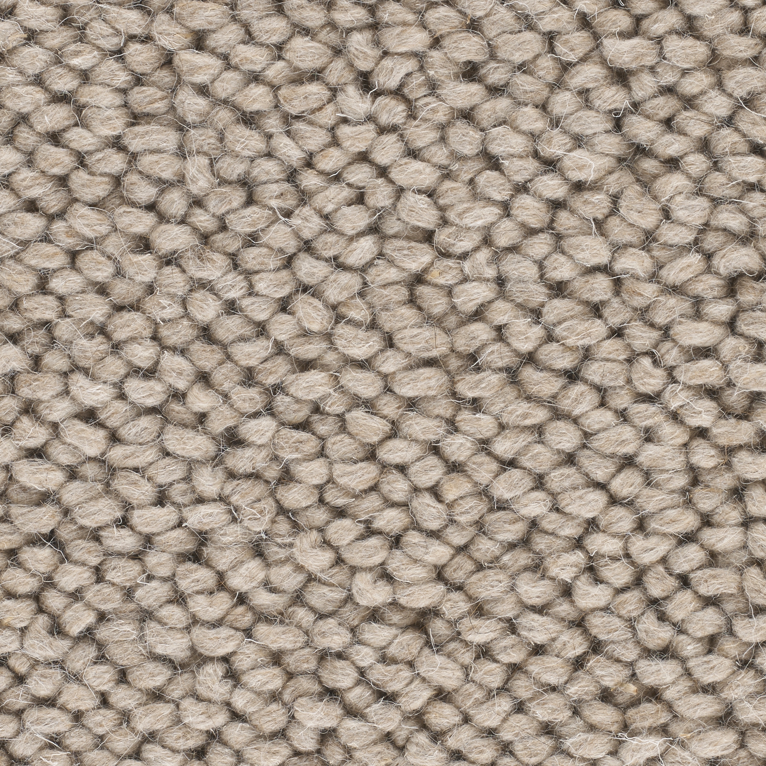 Produkt Luminary - Barley des Herstellers Best Wool anzeigen