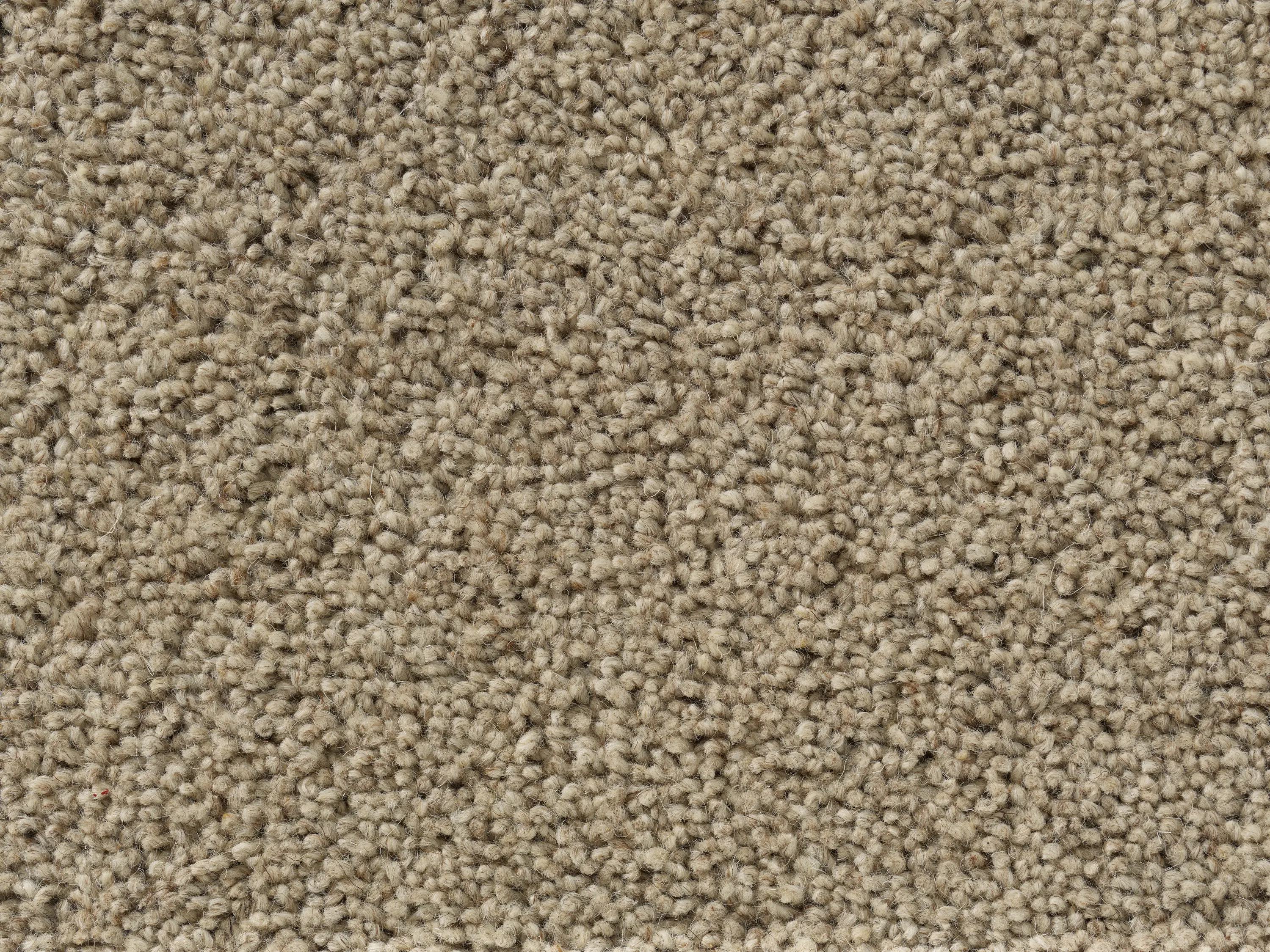 Best Wool - Sincere - Mushroom