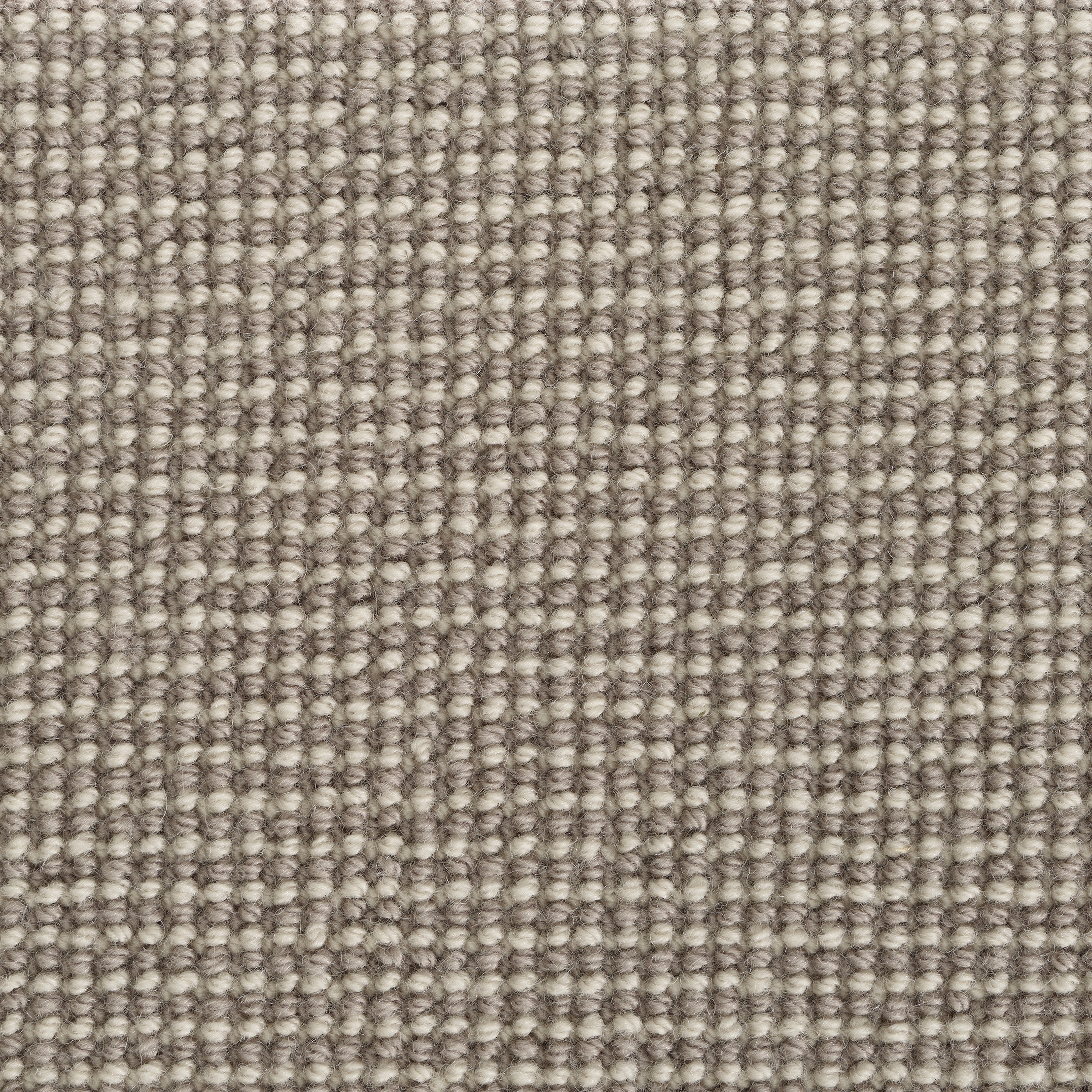 Display product Sterling - Eggshell from manufacturer Best Wool