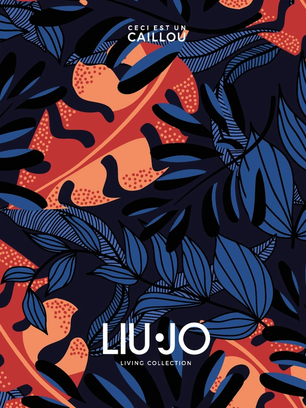 Image d’aperçu du fichier Ceci est un Caillou