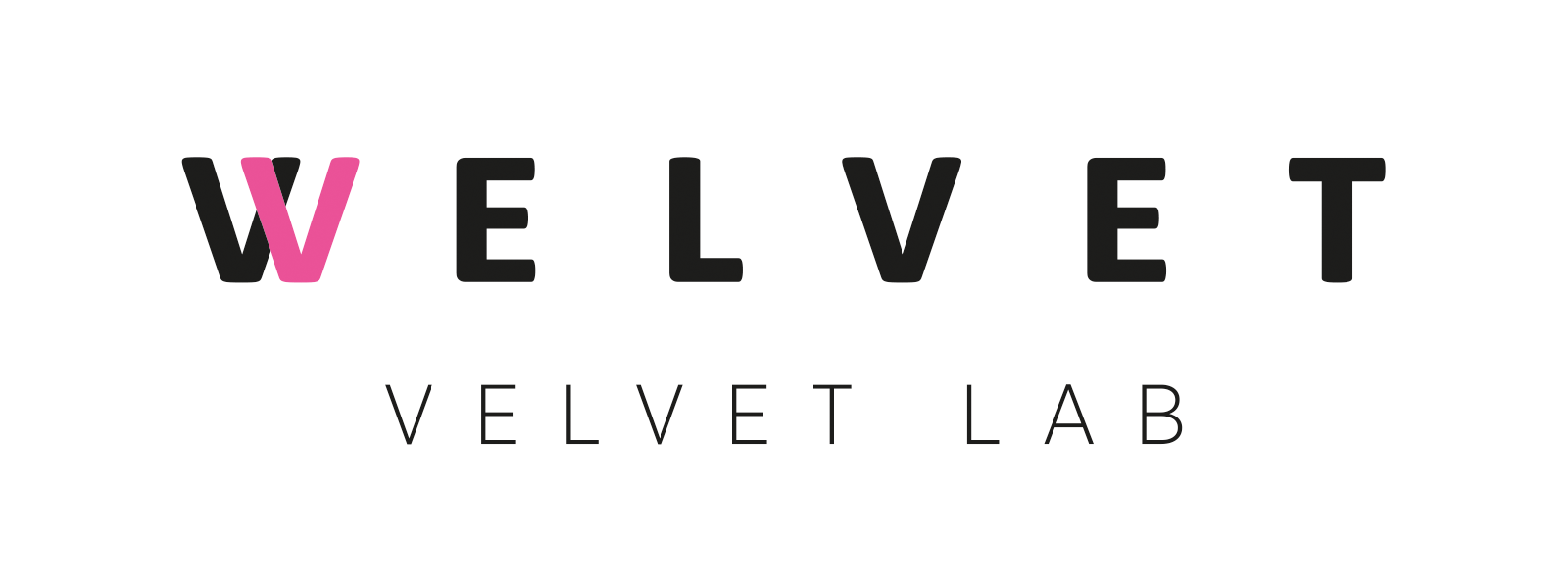Logo for manufacturer Welvet