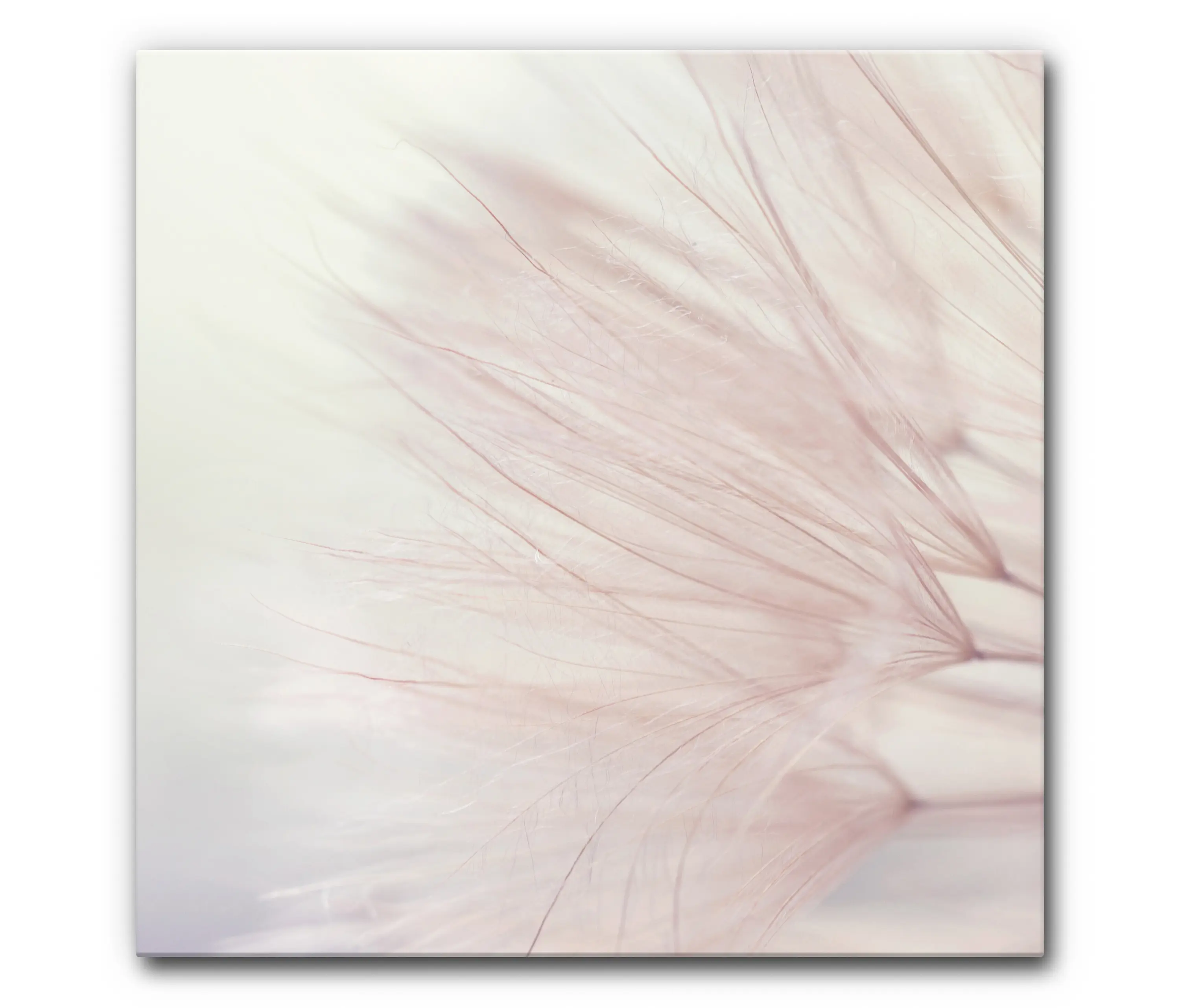 Akustikbild-Manufaktur - Sound Absorbing Acoustic Frame Motif Dandelion Dreamer