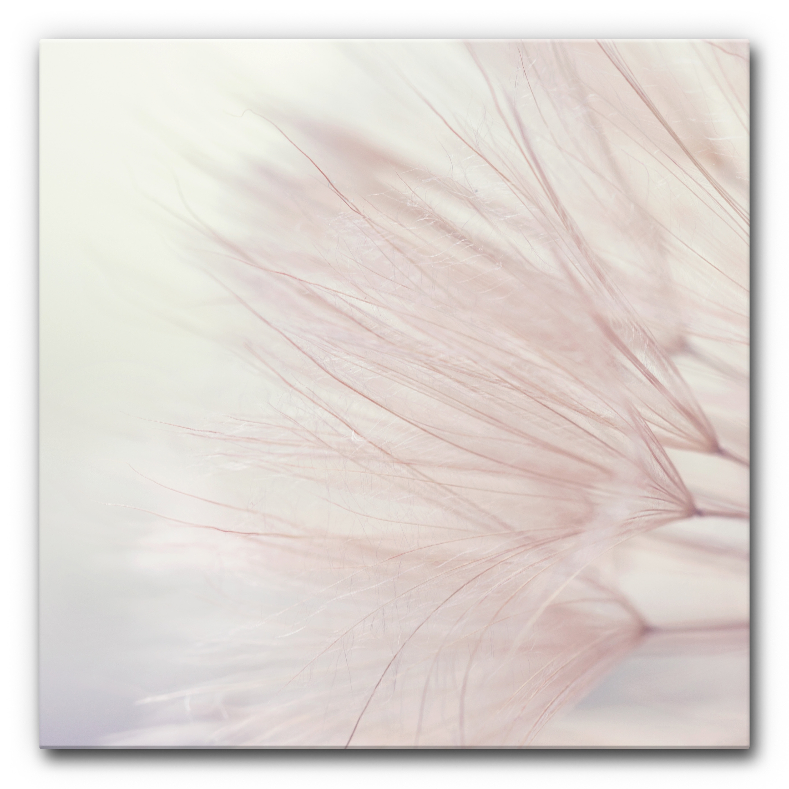 Sound Absorbing Acoustic Frame Motif Dandelion Dreamer