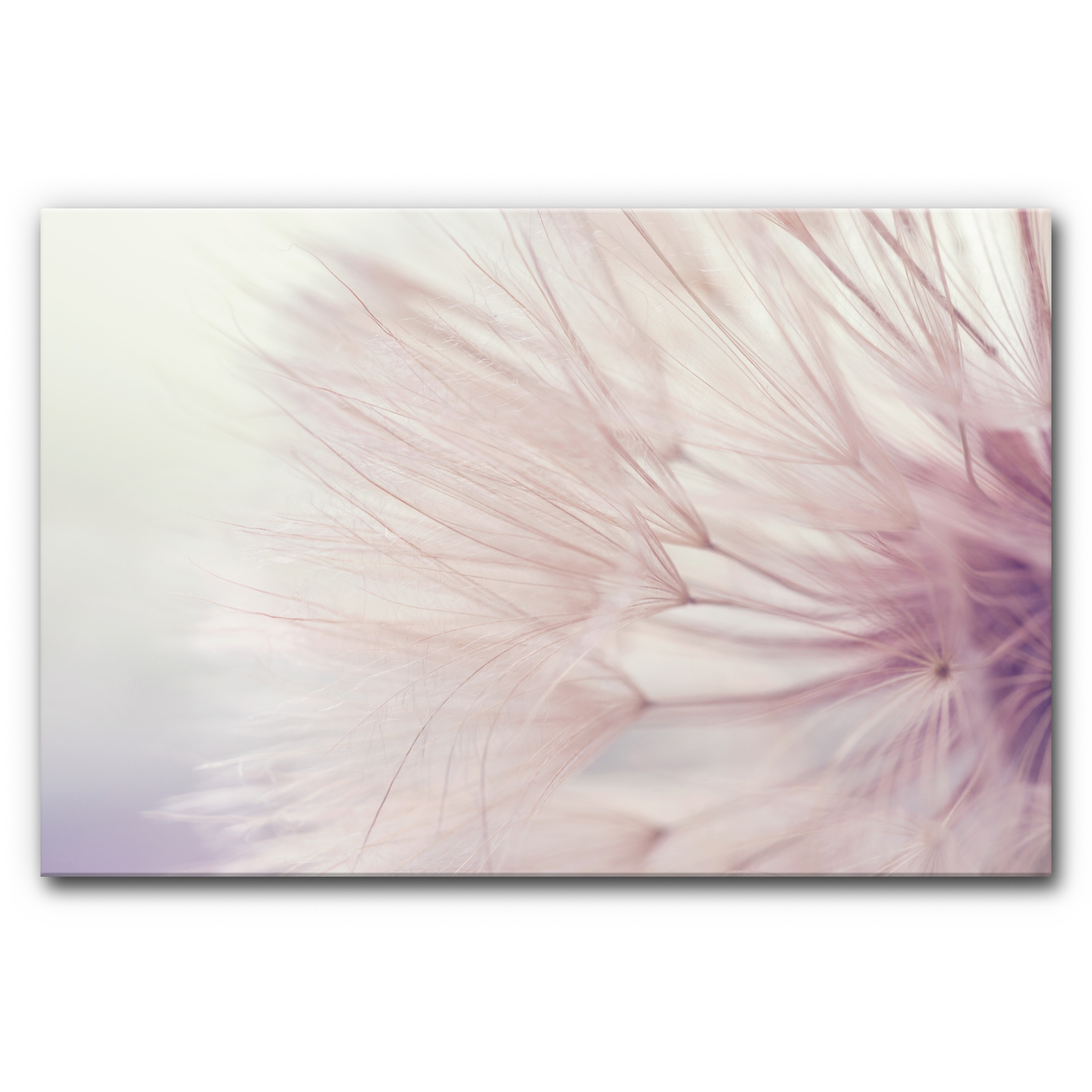 Sound Absorbing Acoustic Frame Motif Dandelion Dreamer