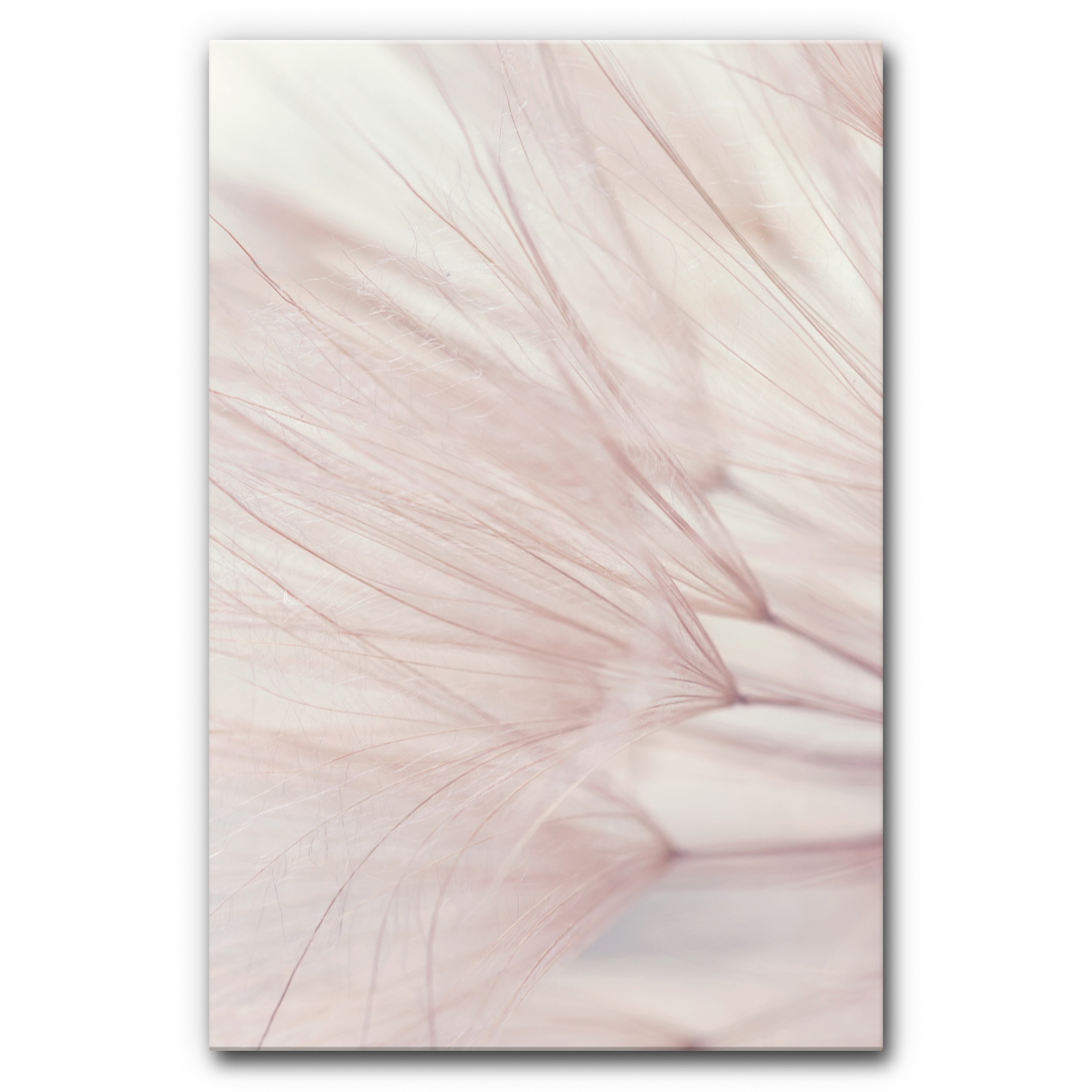 Mostra il prodotto Sound Absorbing Acoustic Frame Motif Dandelion Dreamer del produttore Akustikbild-Manufaktur