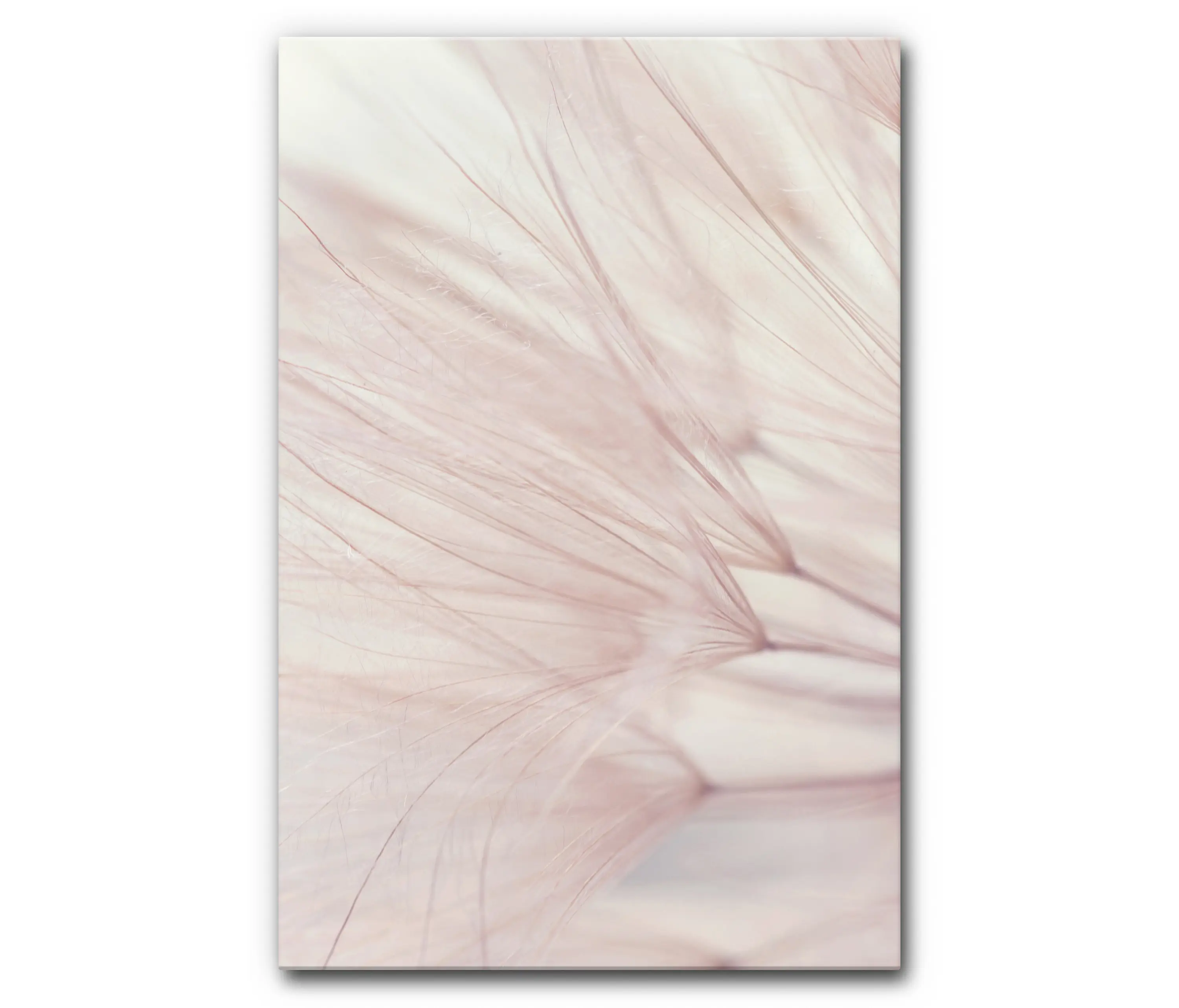 Akustikbild-Manufaktur - Sound Absorbing Acoustic Frame Motif Dandelion Dreamer