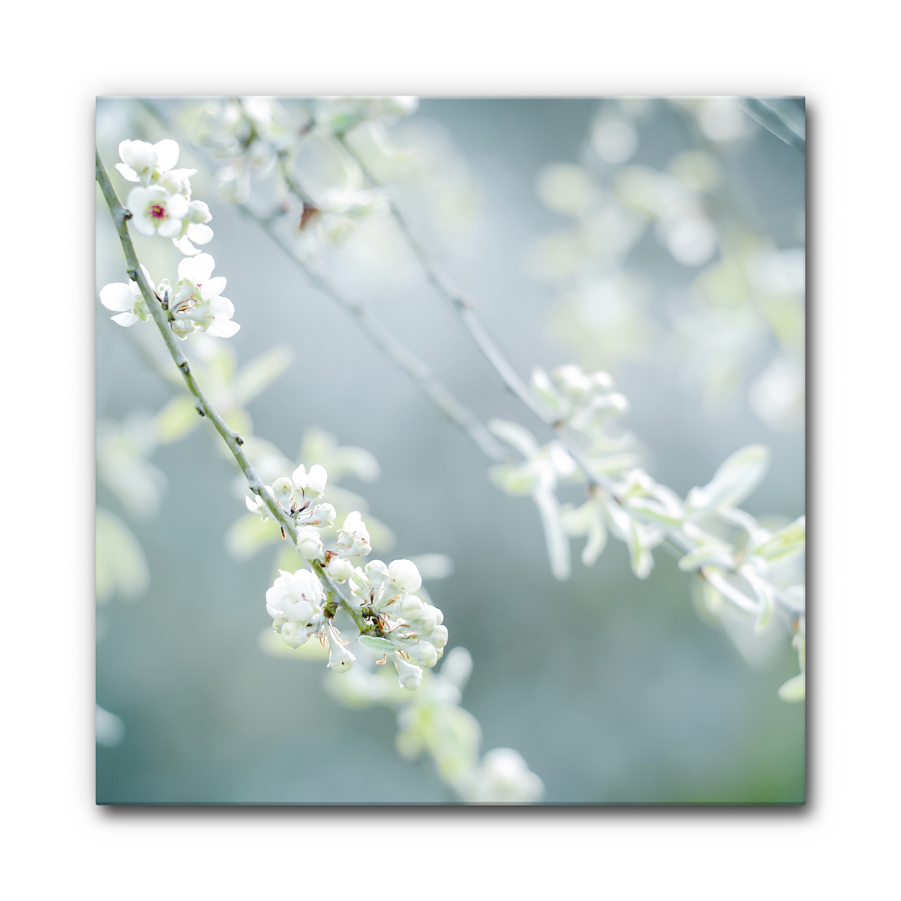 Sound Absorbing Acoustic Frame Motif Frühling