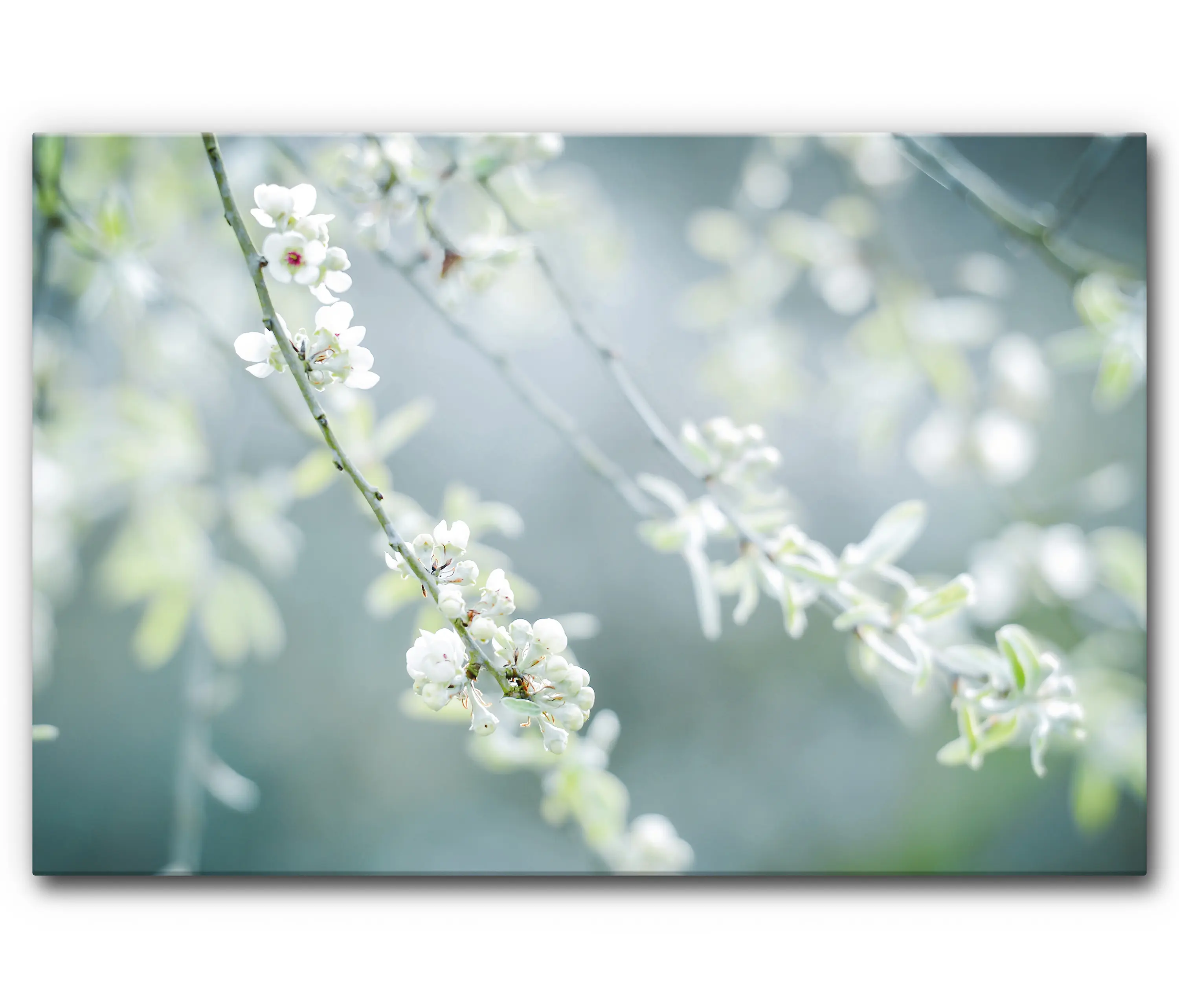 Akustikbild-Manufaktur - Schallabsorber Akustikbild Frühling