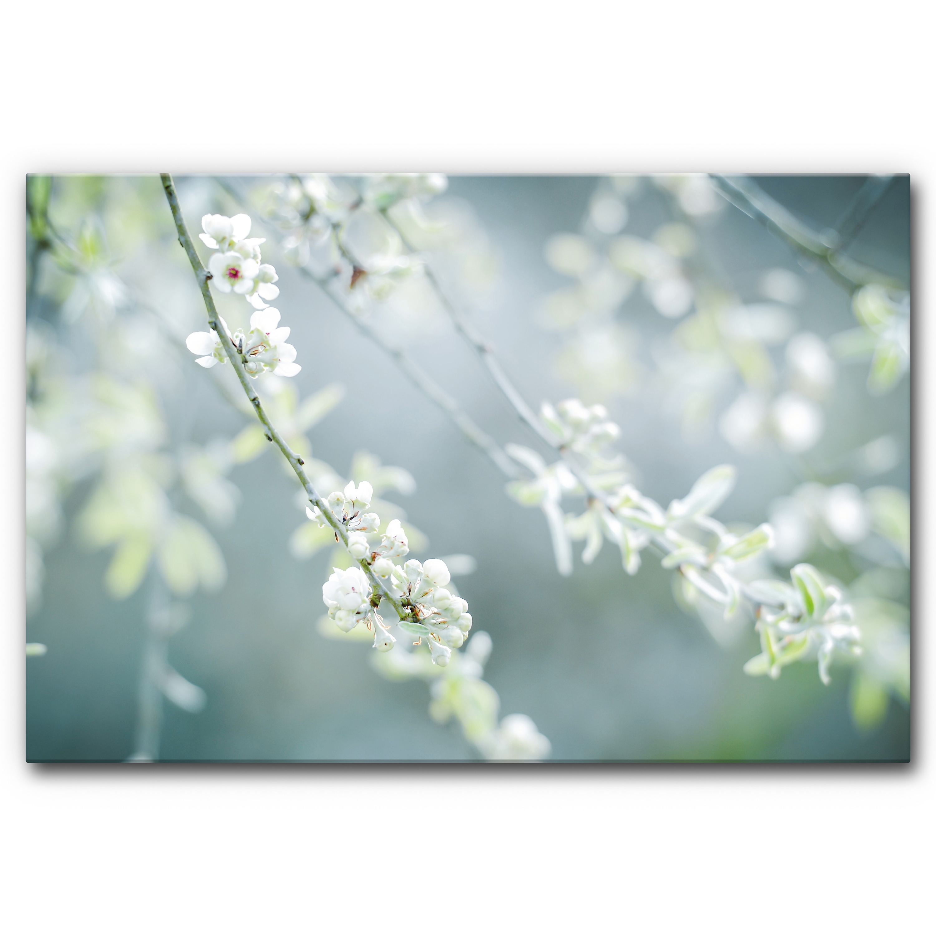 Mostra il prodotto Sound Absorbing Acoustic Frame Motif Frühling del produttore Akustikbild-Manufaktur