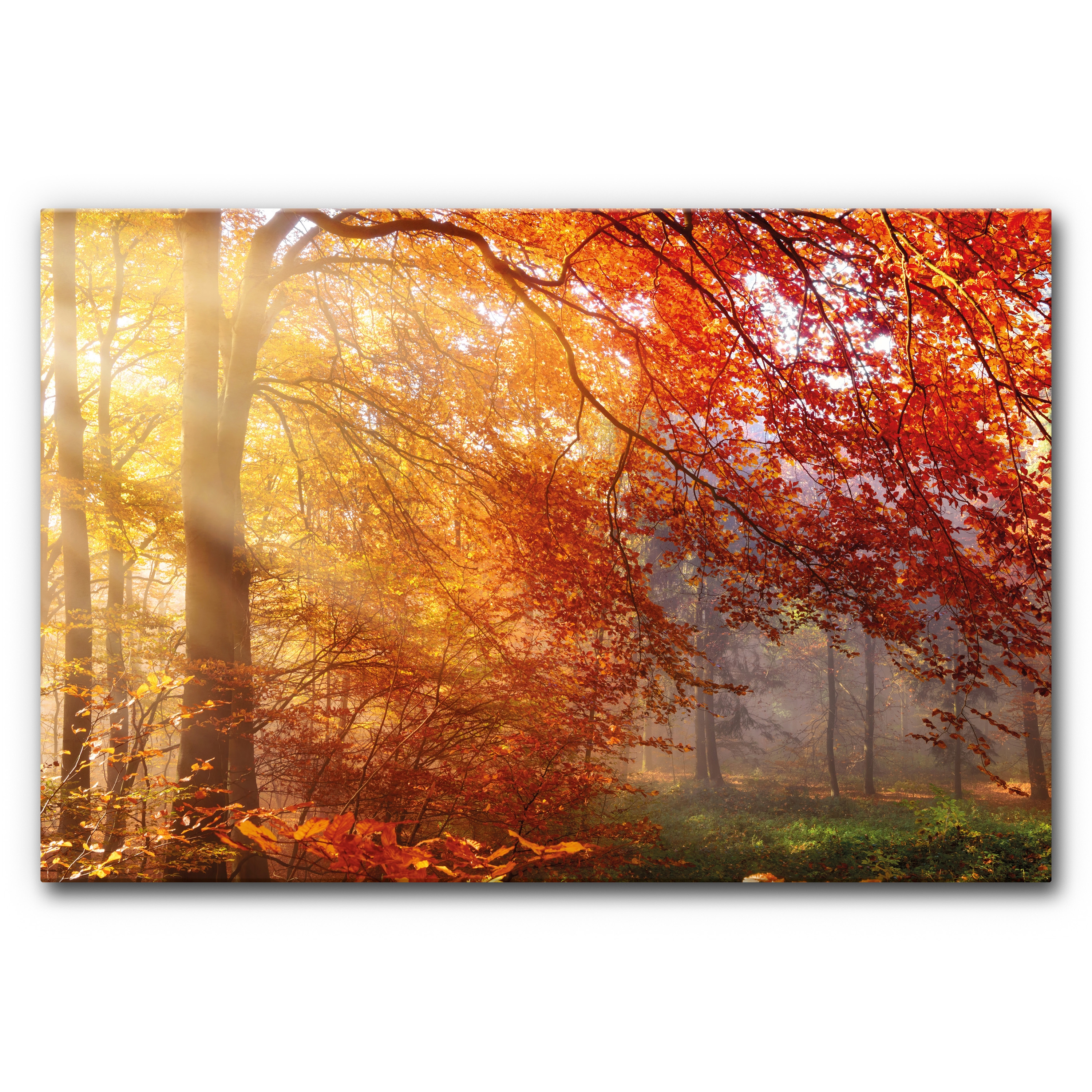 Sound Absorbing Acoustic Frame Motif Herbstwald 3