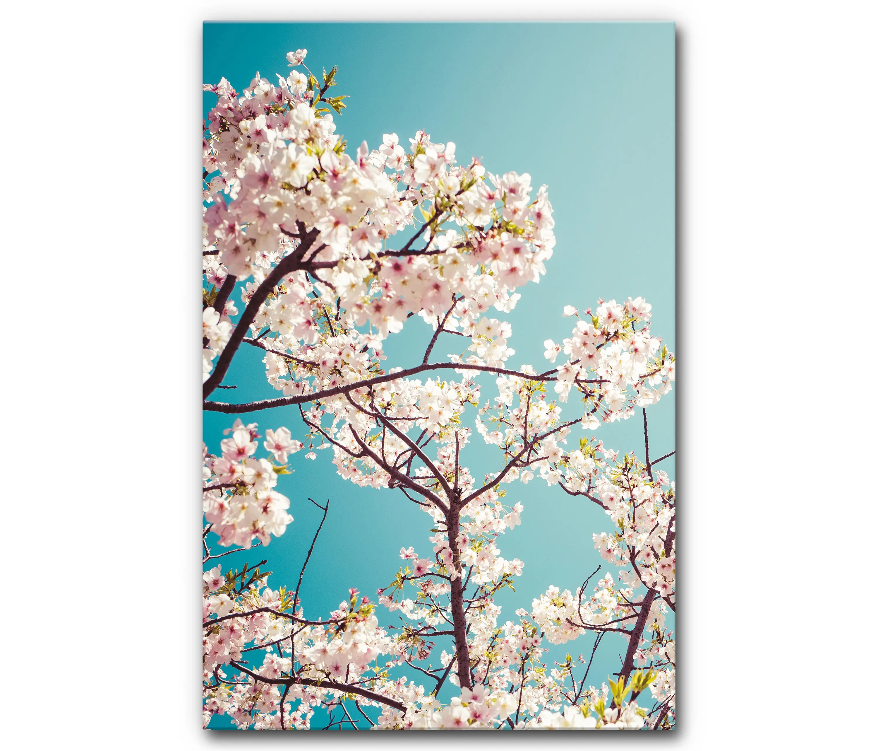 Akustikbild-Manufaktur - Sound Absorbing Acoustic Frame Motif Kirschbluete 3