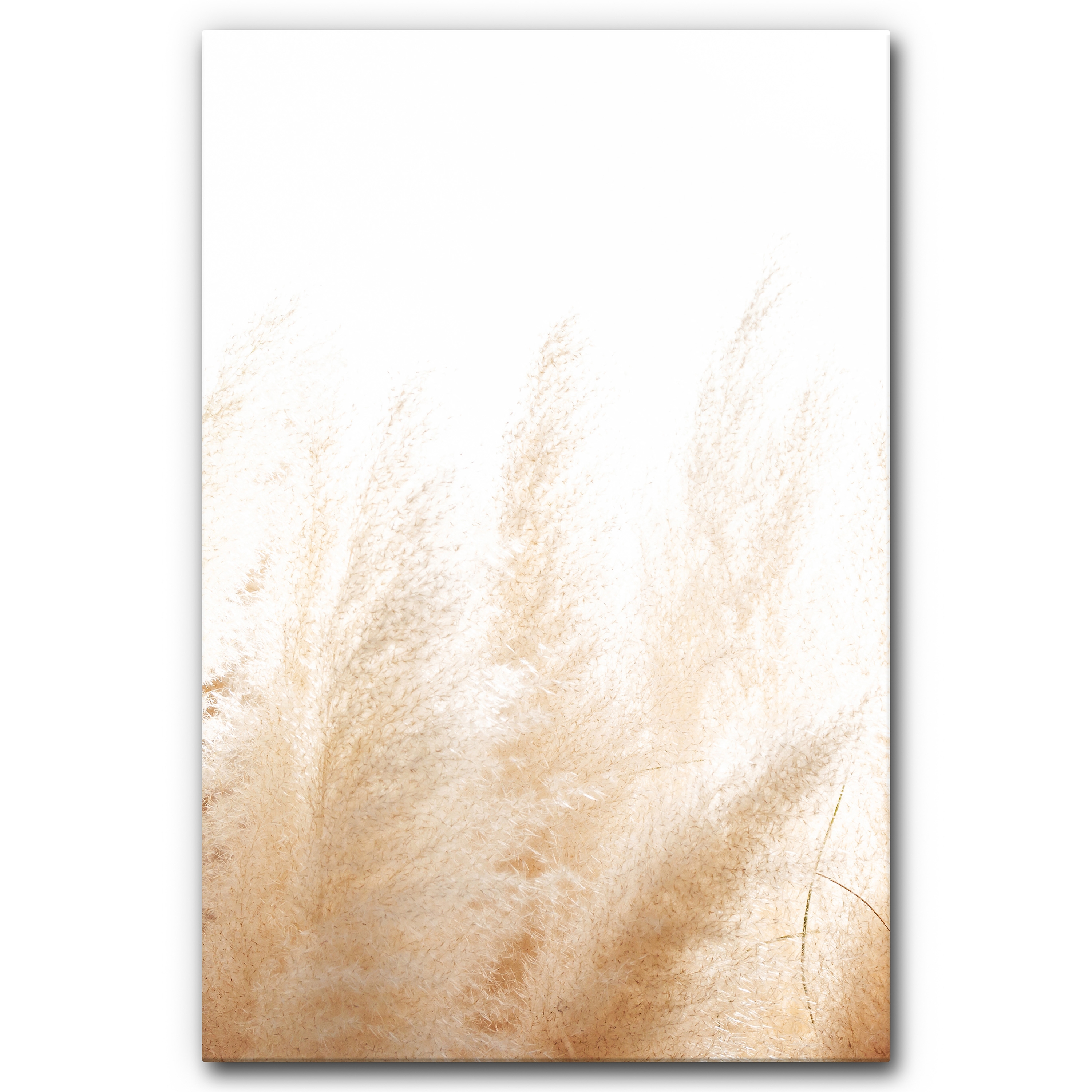 Sound Absorbing Acoustic Frame Motif Pampasgras
