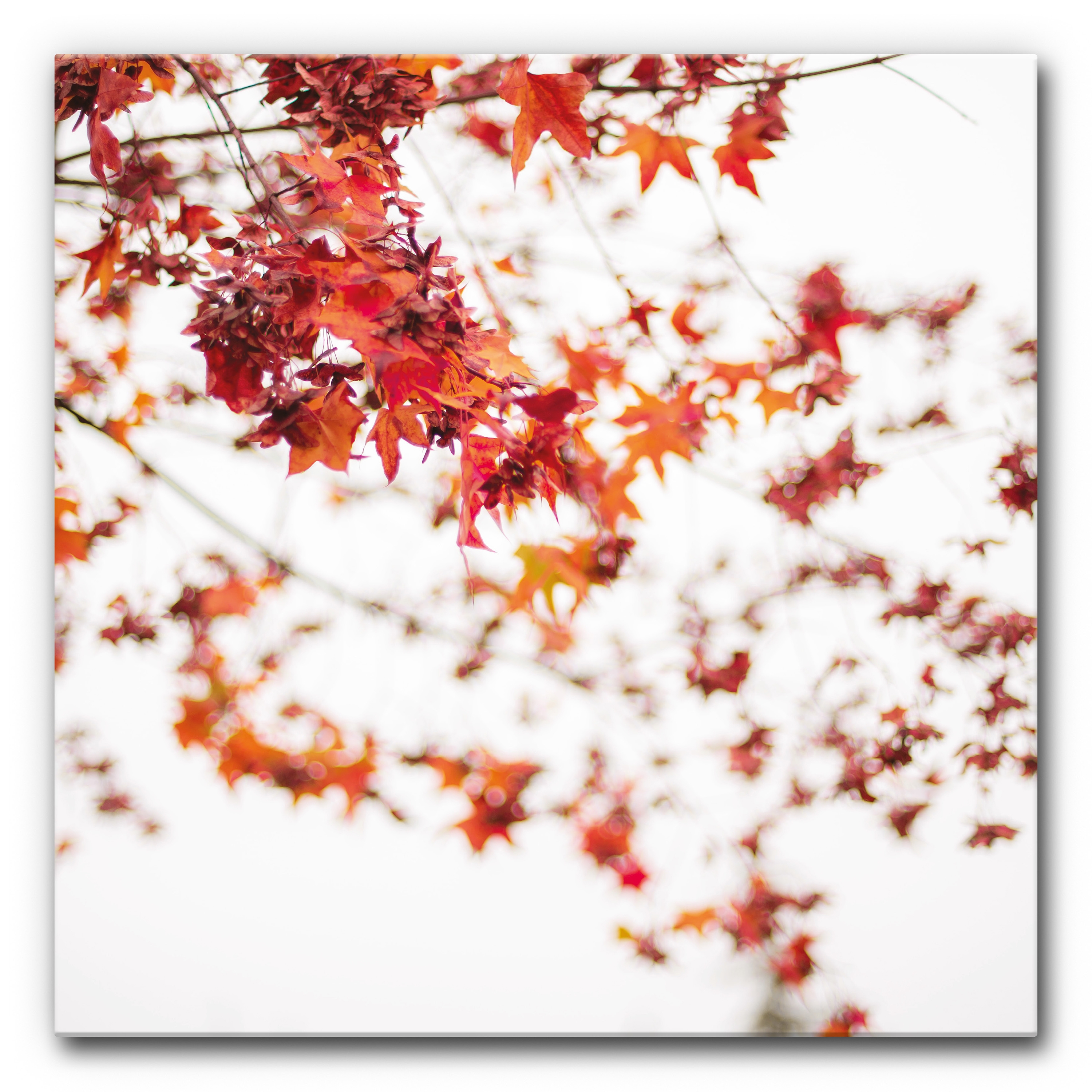 Display product Sound Absorbing Acoustic Frame Motif Red Leaves on White from manufacturer Akustikbild-Manufaktur