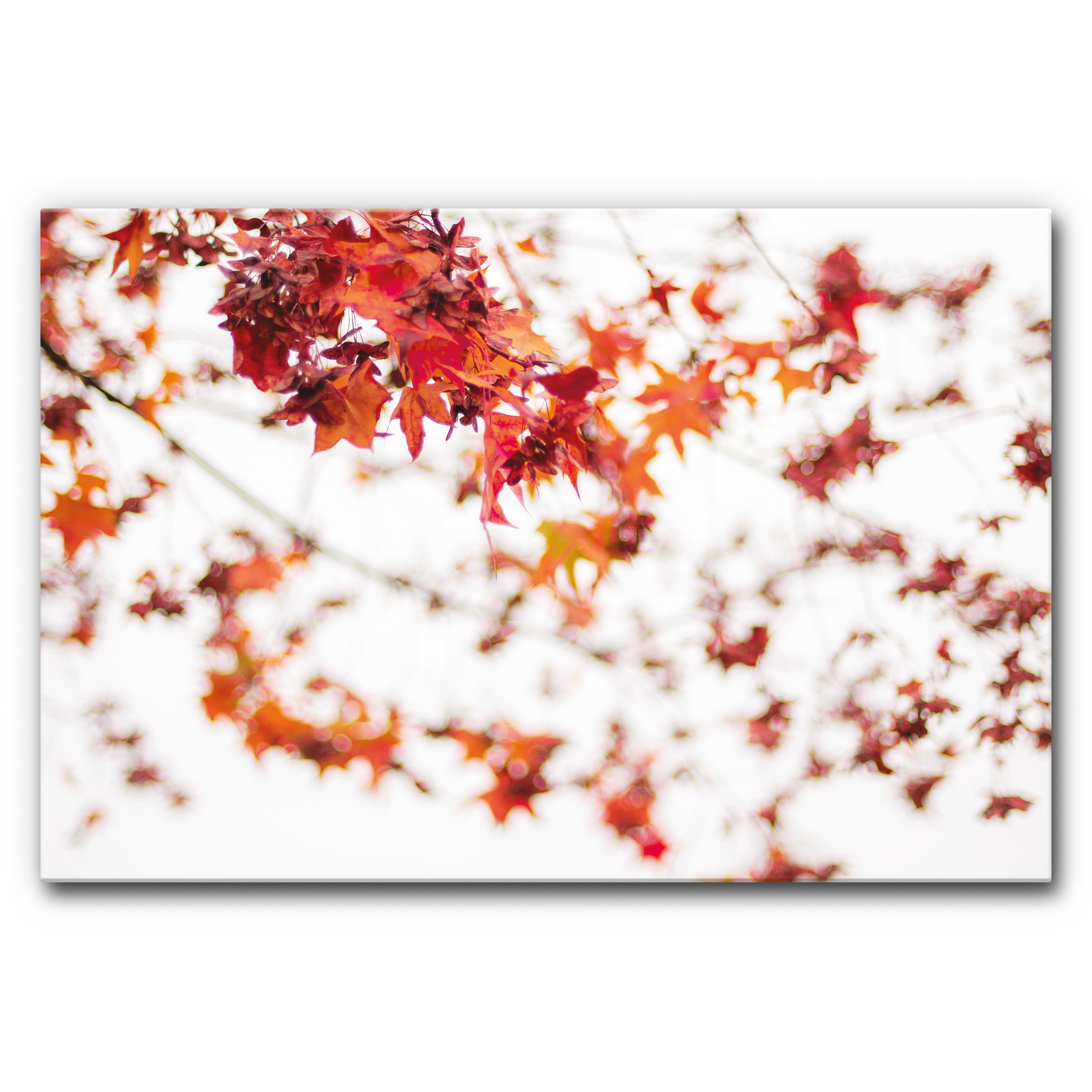 Sound Absorbing Acoustic Frame Motif Red Leaves on White