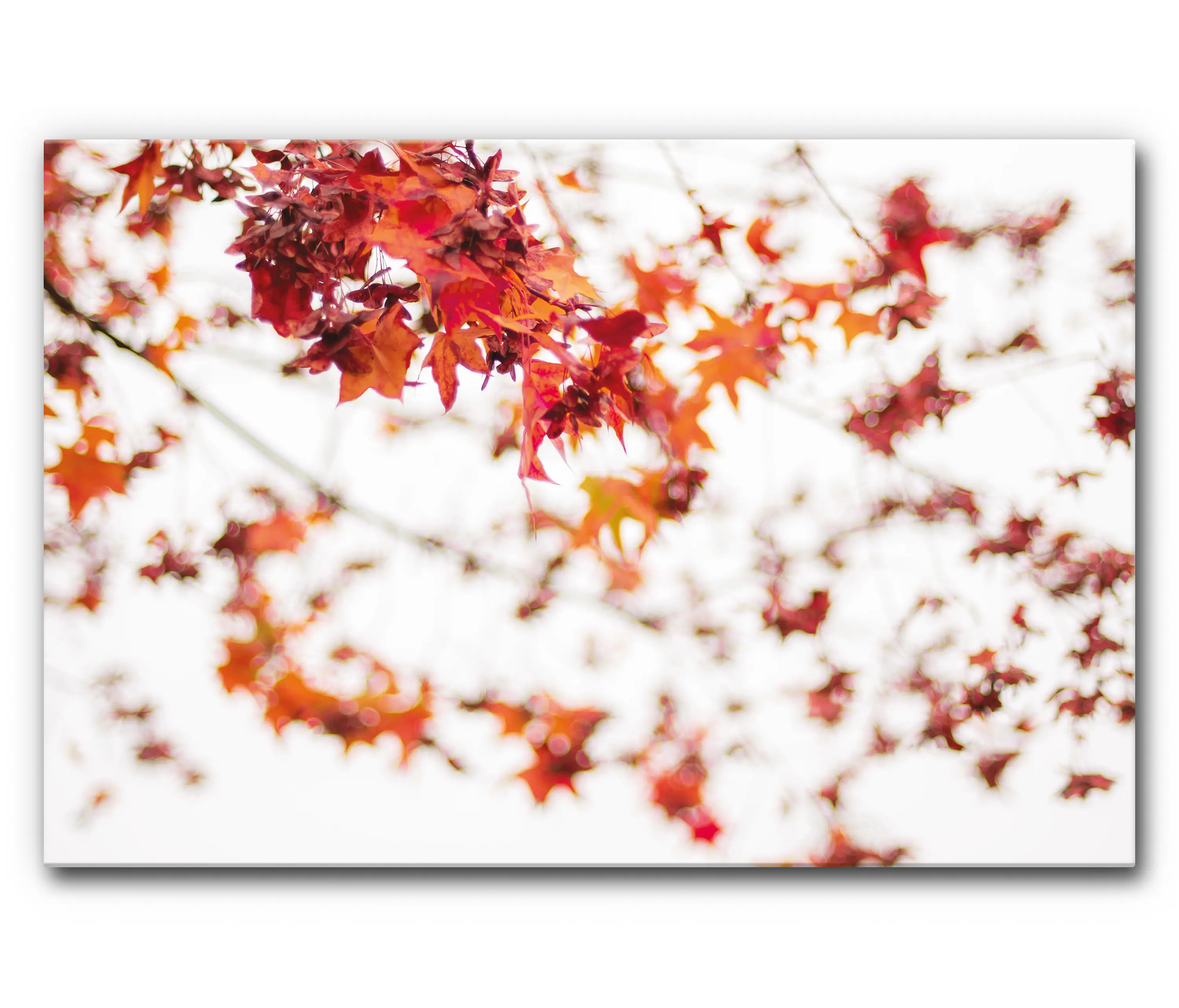 Akustikbild-Manufaktur - Sound Absorbing Acoustic Frame Motif Red Leaves on White