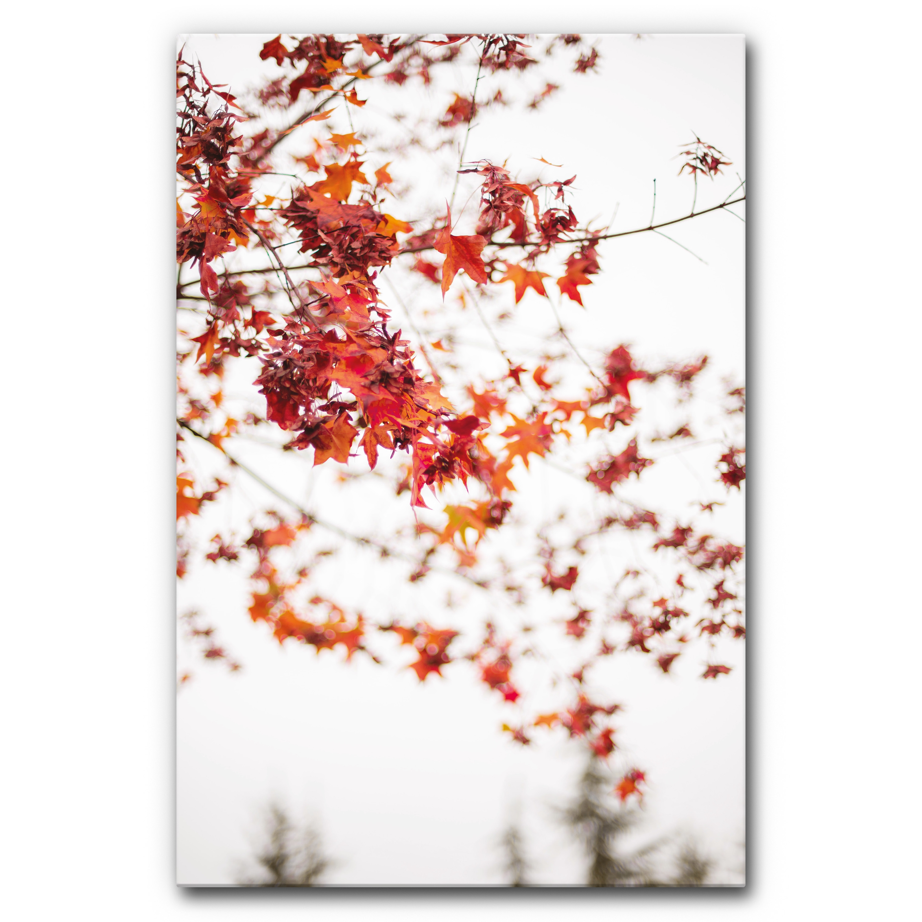 Sound Absorbing Acoustic Frame Motif Red Leaves on White