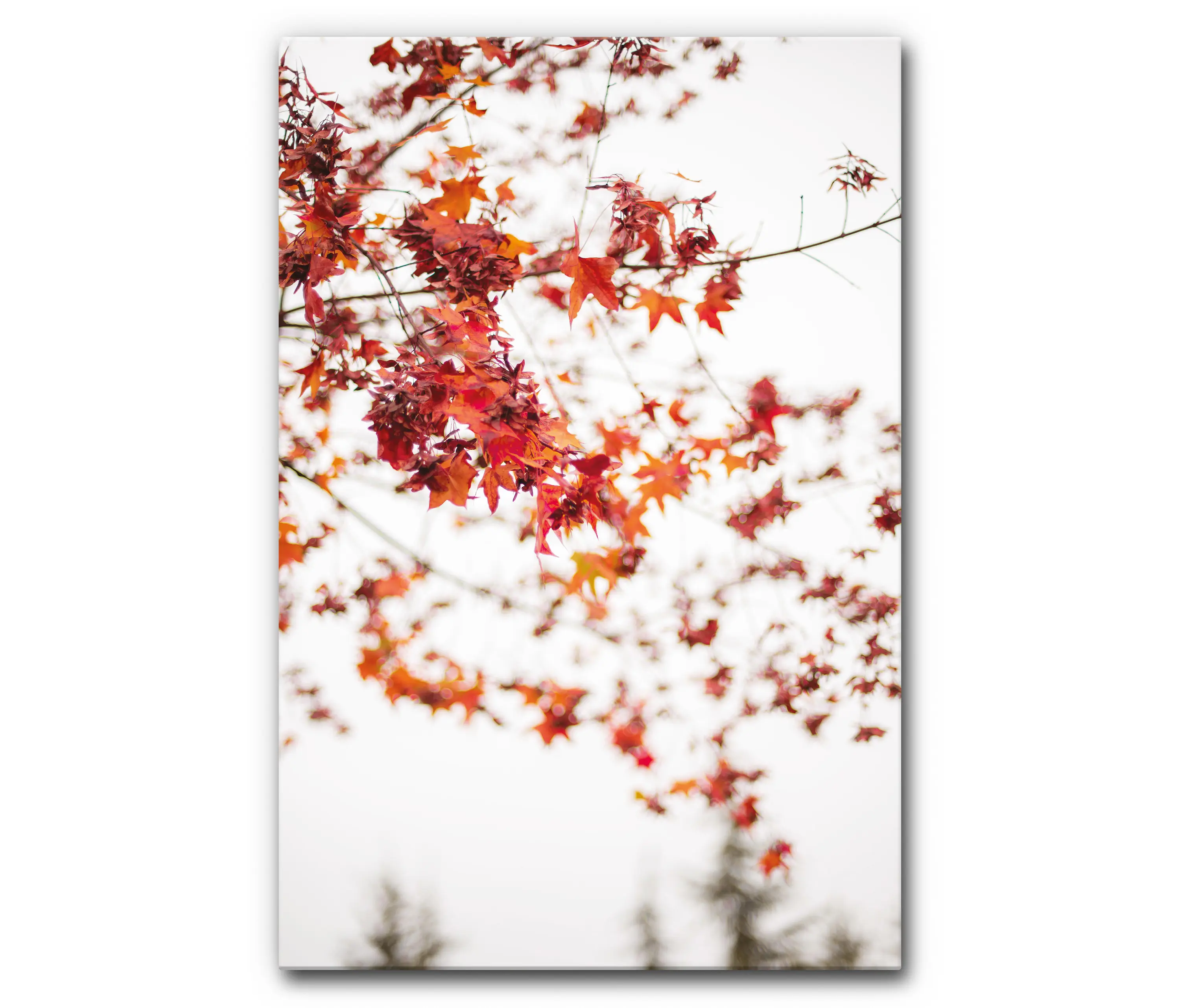 Akustikbild-Manufaktur - Sound Absorbing Acoustic Frame Motif Red Leaves on White