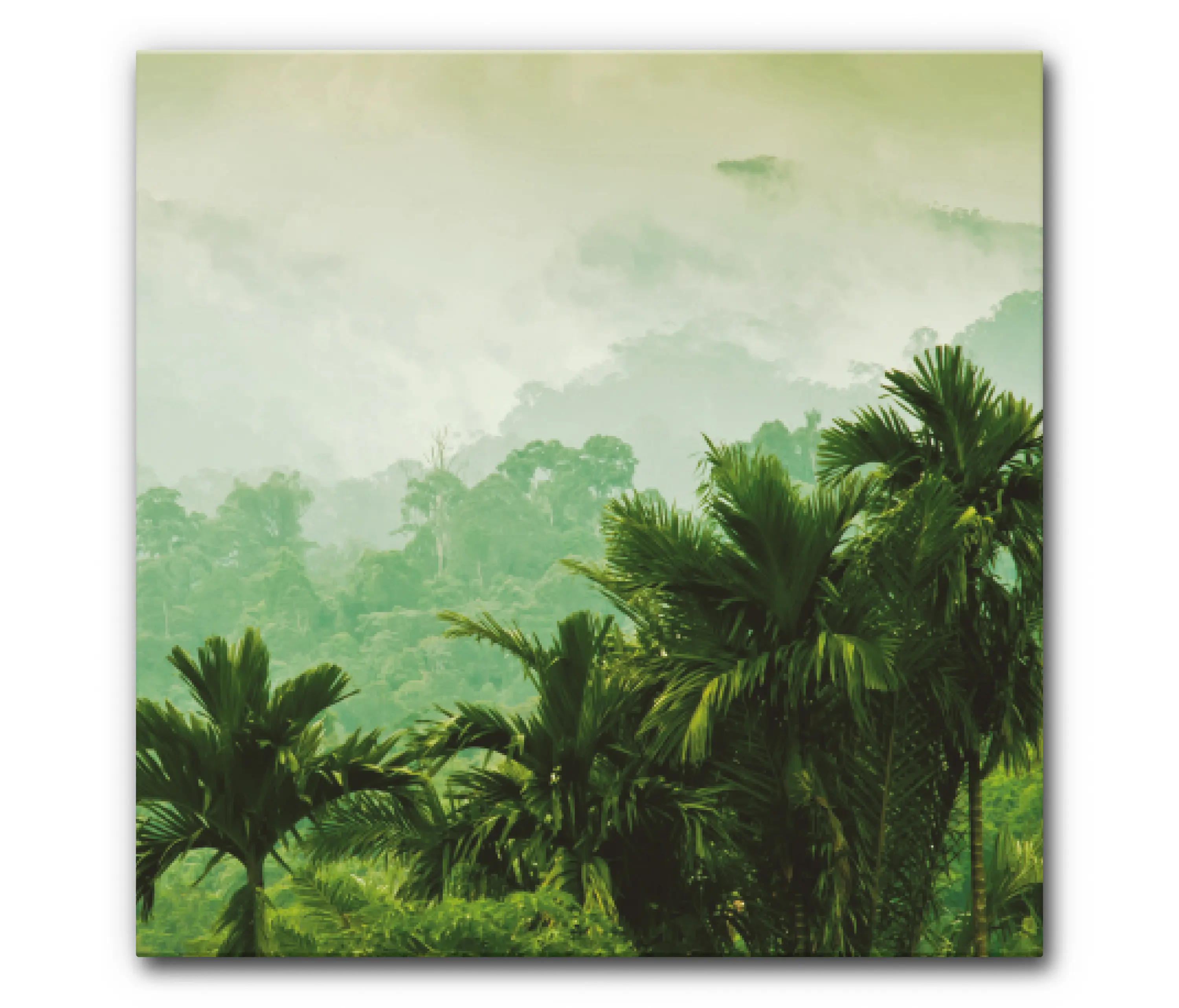 Akustikbild-Manufaktur - Sound Absorbing Acoustic Frame Motif Sumatra