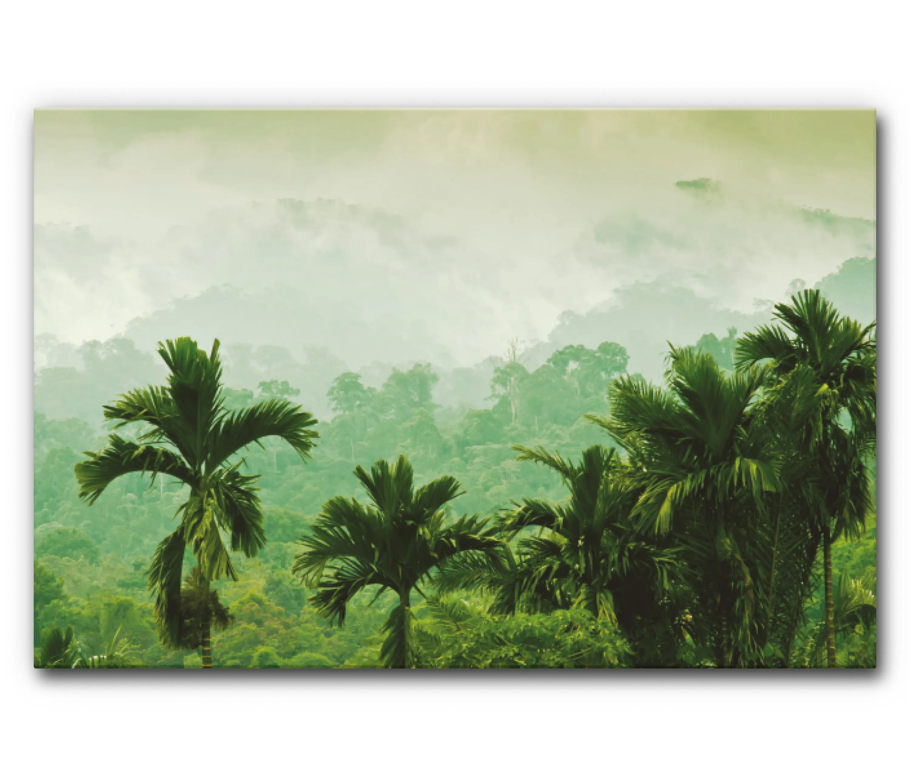 Akustikbild-Manufaktur - Sound Absorbing Acoustic Frame Motif Sumatra