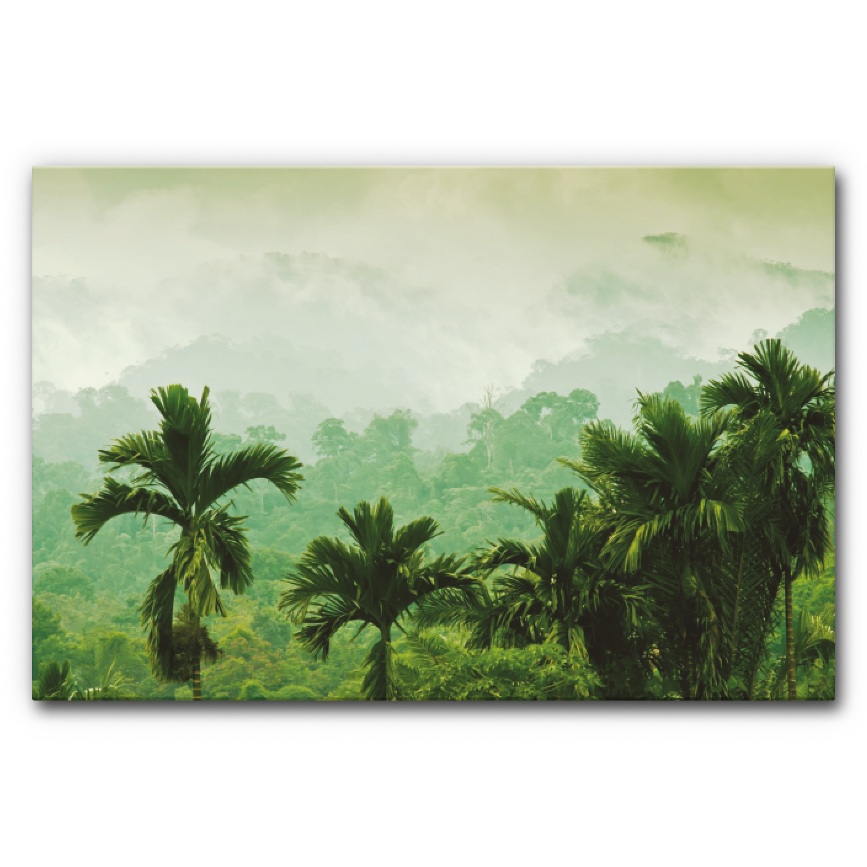 Produkt Sound Absorbing Acoustic Frame Motif Sumatra des Herstellers Akustikbild-Manufaktur anzeigen