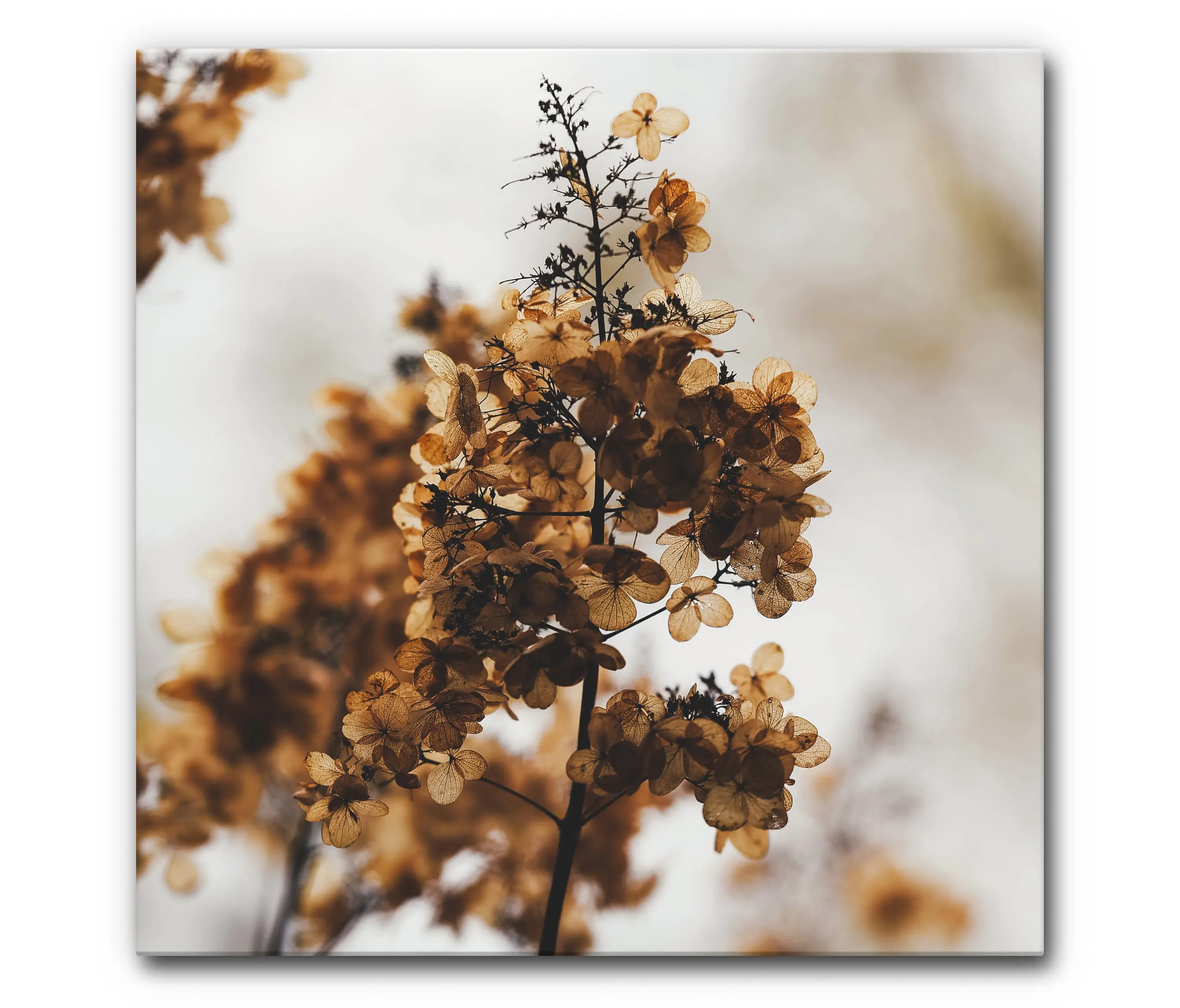 Akustikbild-Manufaktur - Sound Absorbing Acoustic Frame Motif Winter Balloons