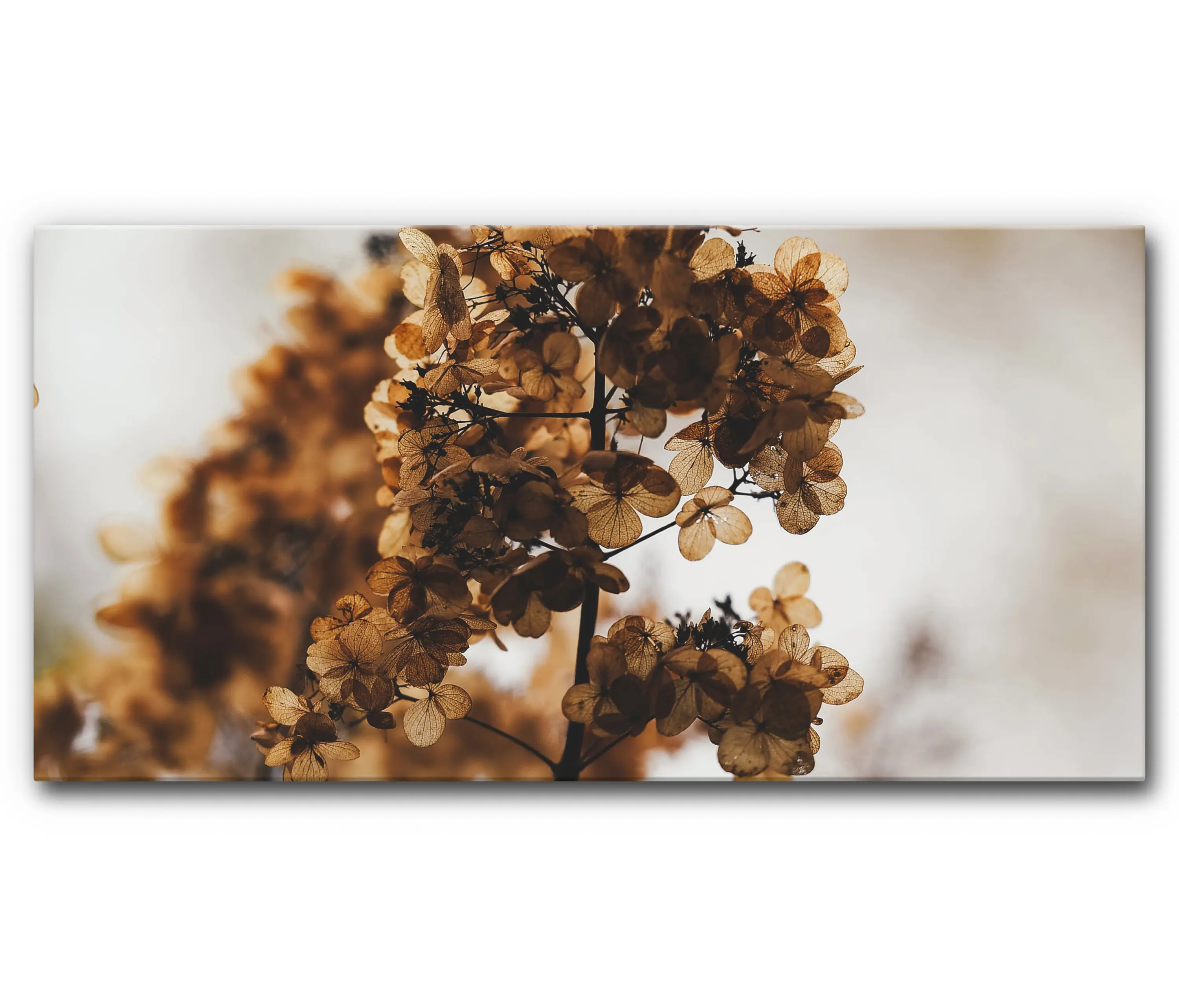 Akustikbild-Manufaktur - Sound Absorbing Acoustic Frame Motif Winter Balloons