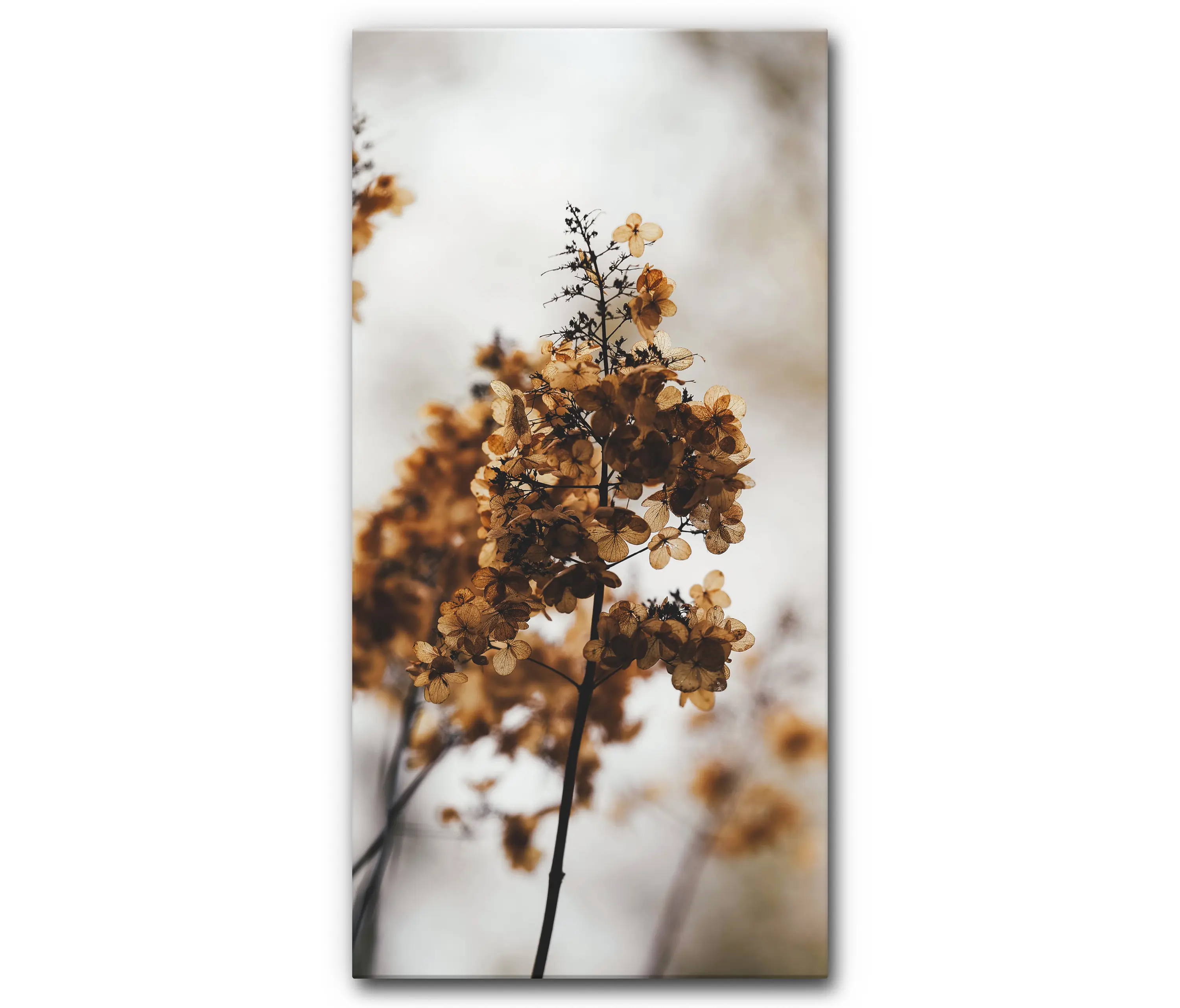 Akustikbild-Manufaktur - Sound Absorbing Acoustic Frame Motif Winter Balloons