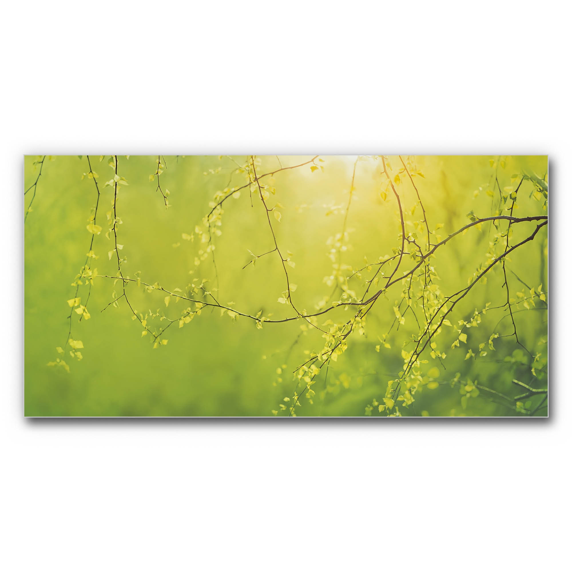 Display product Sound absorber acoustic image spring magic from manufacturer Akustikbild-Manufaktur