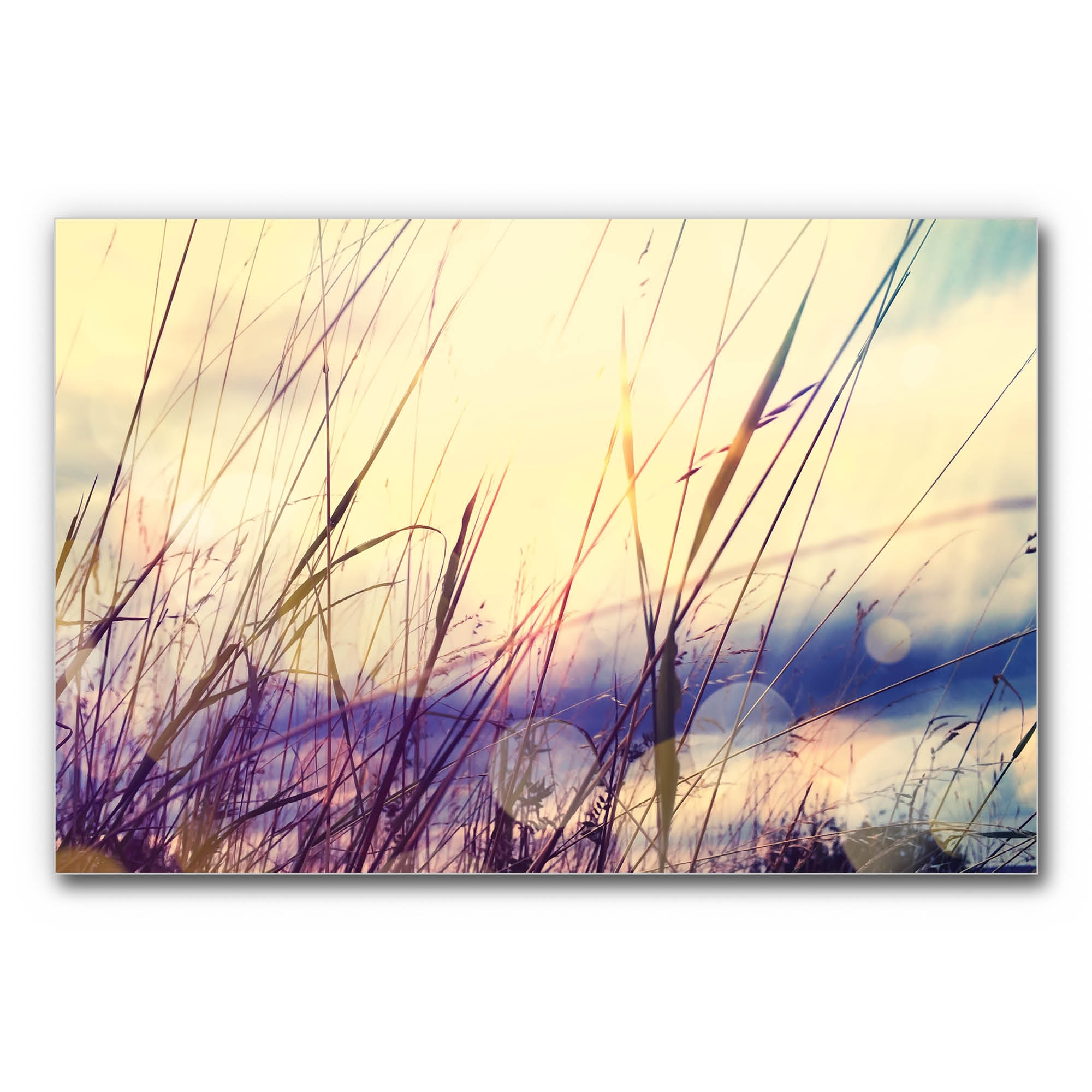 Vertoon produk Sound absorber acoustic image Grass at sunrise van vervaardiger Akustikbild-Manufaktur