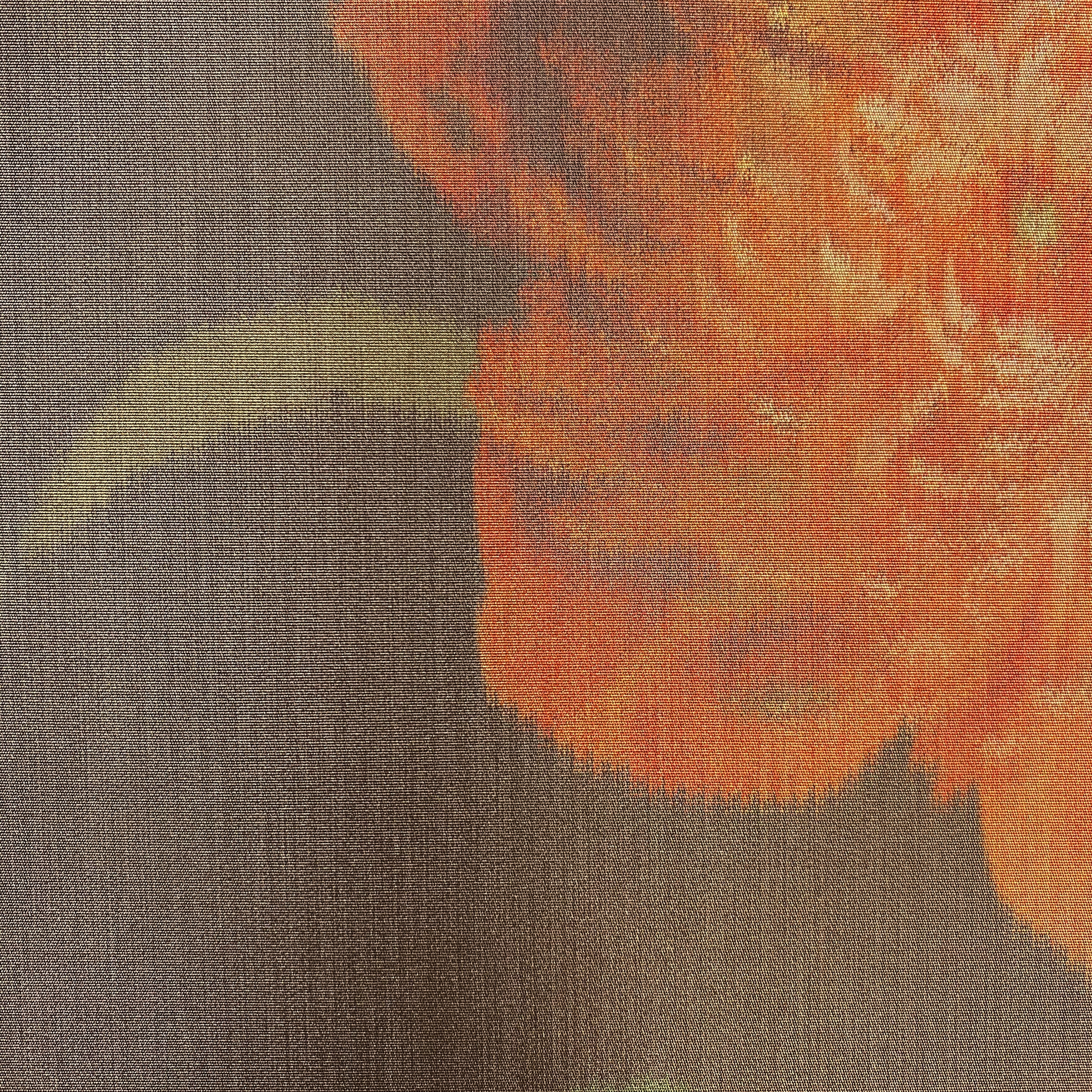 Mostra il prodotto Rosalia col. 101 multicolor del produttore Jakob Schlaepfer
