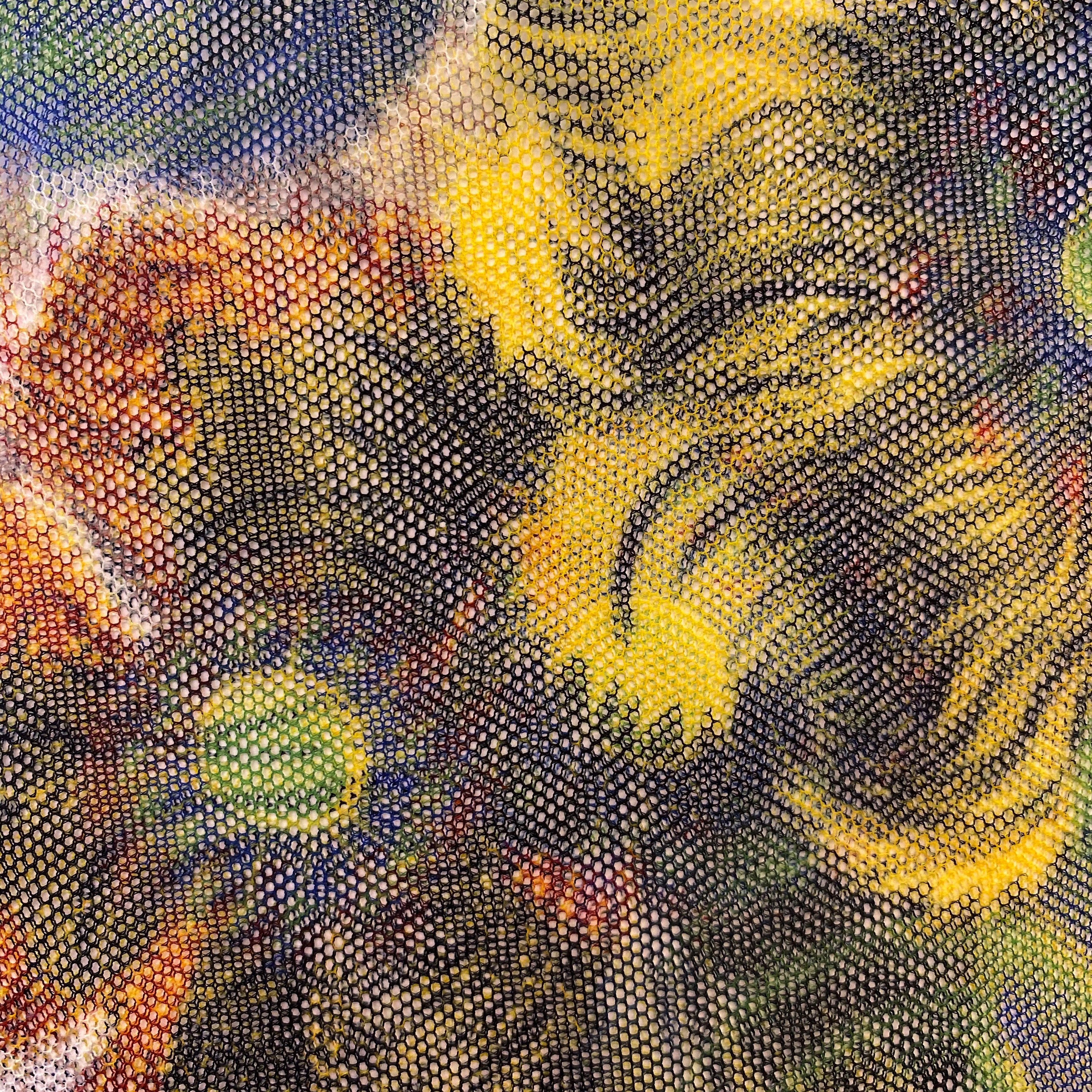 Produkt Vada Charla col. 201 multicolor des Herstellers Jakob Schlaepfer anzeigen