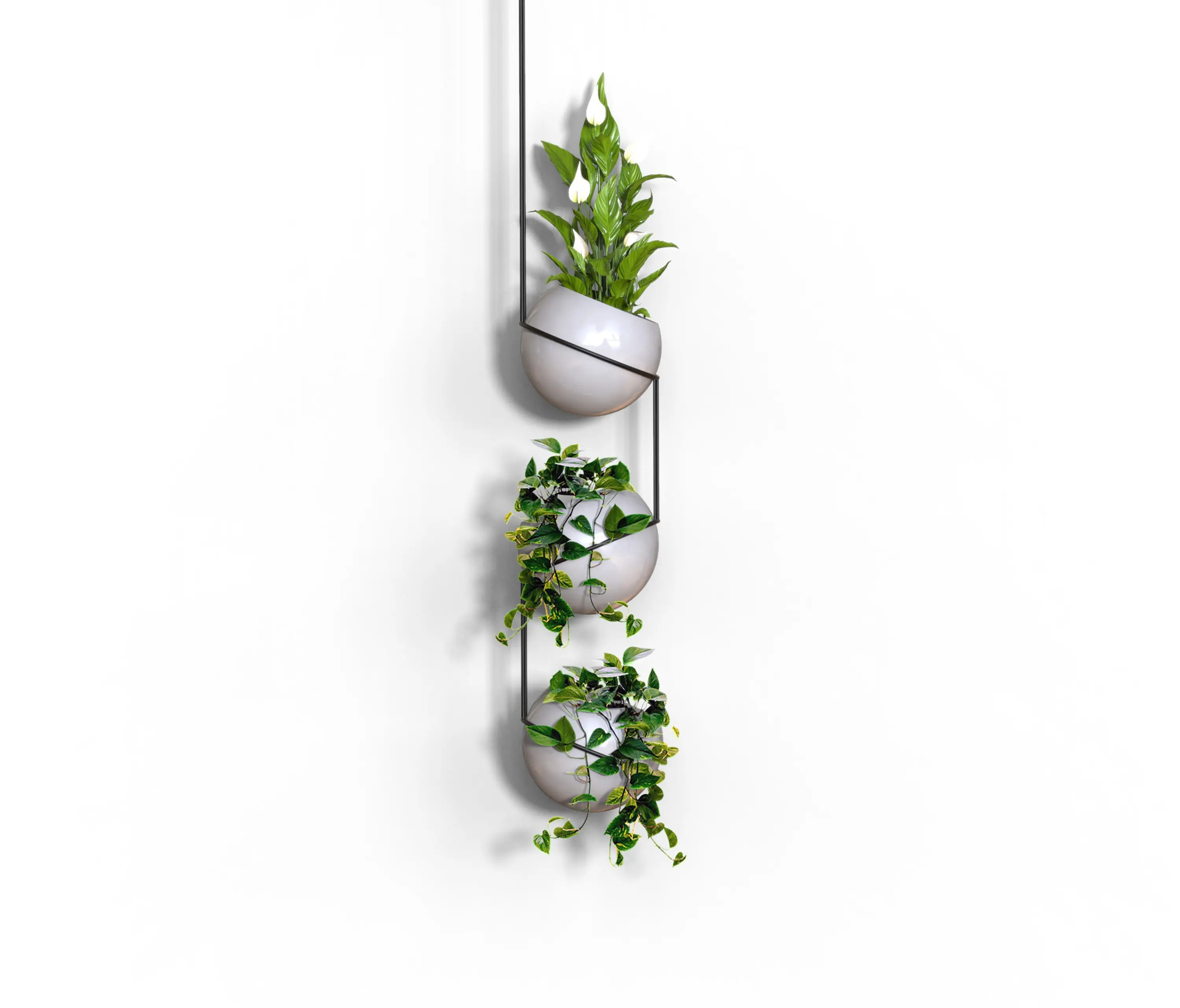 Absoluta Collection - Globe | Tresessanta