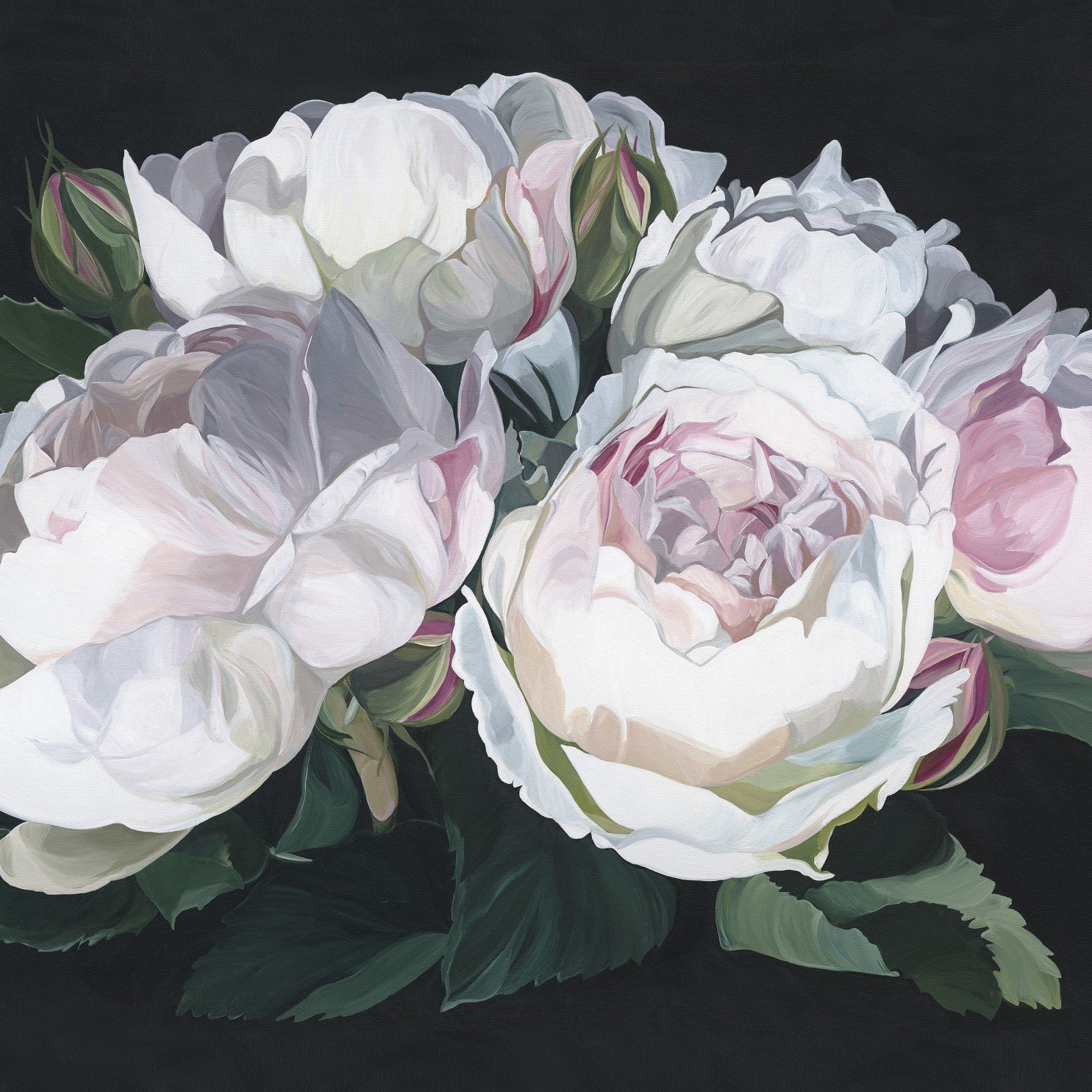 Vertoon produk Amalia | Original van vervaardiger Absoluta Collection