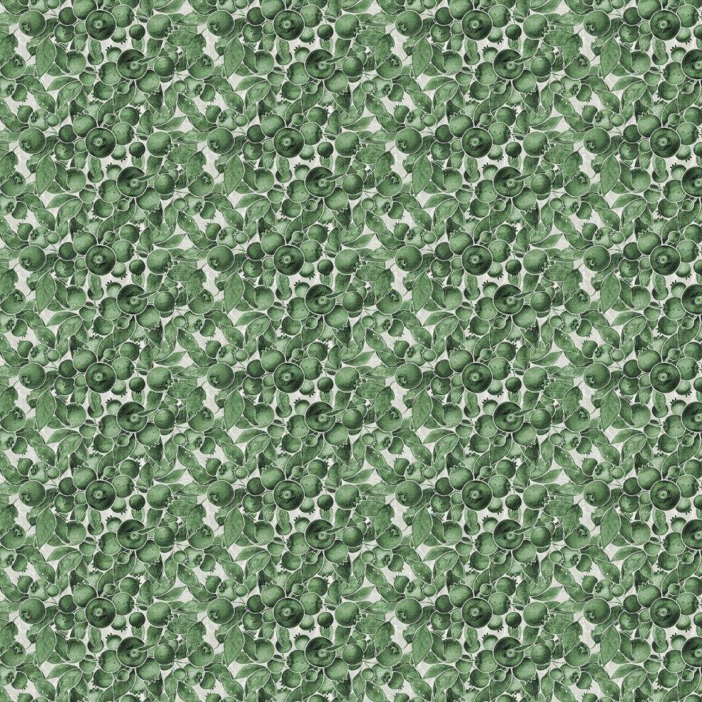 Produkt Blueberries | Dark Green des Herstellers Absoluta Collection anzeigen