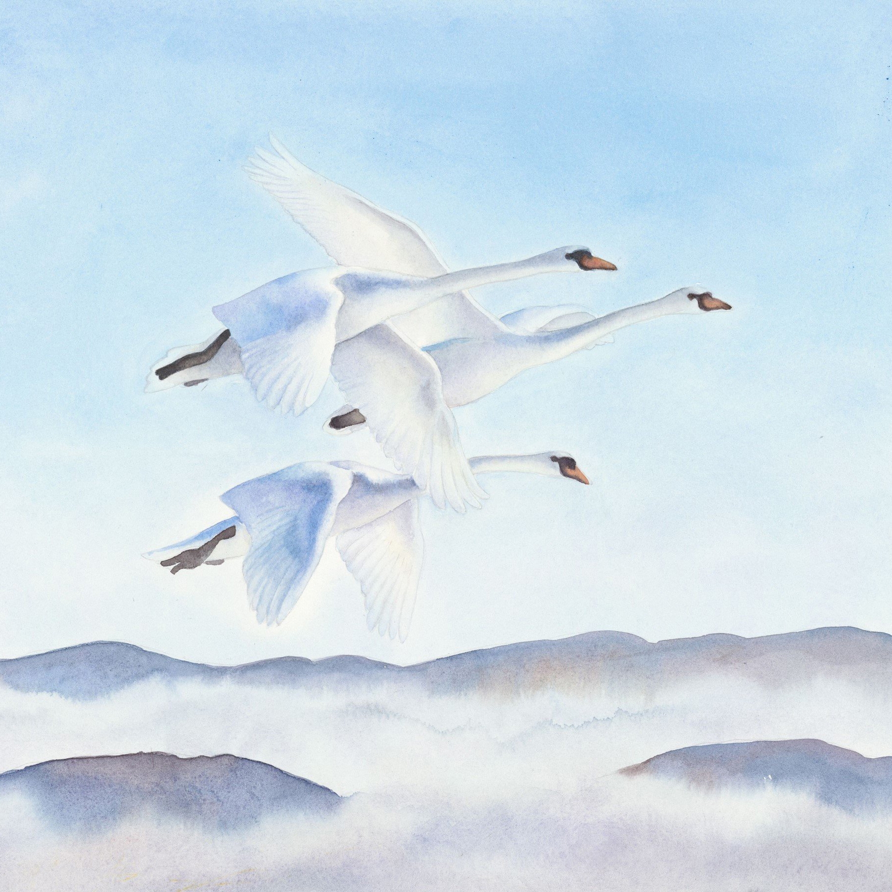 Vertoon produk Flying Swans van vervaardiger Absoluta Collection
