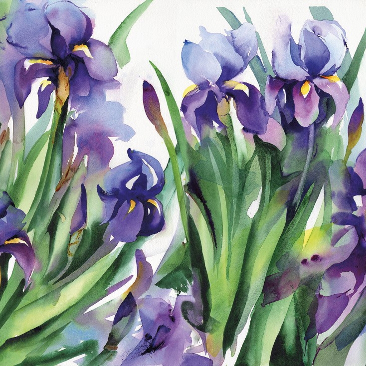 Produkt Iris | Original des Herstellers Absoluta Collection anzeigen