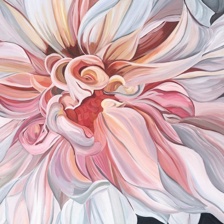 Vertoon produk Norma van vervaardiger Absoluta Collection