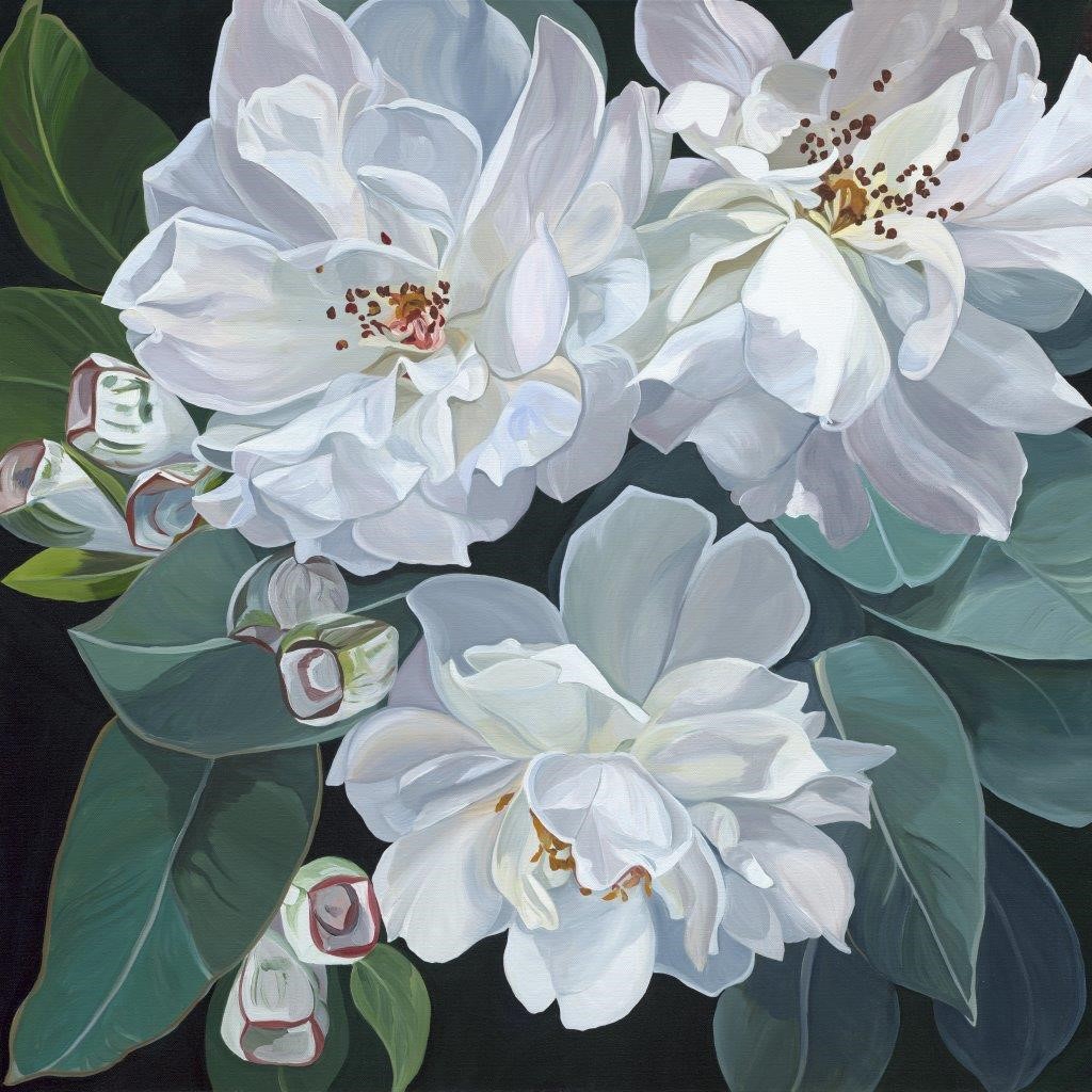 Vertoon produk Ophelia | Original van vervaardiger Absoluta Collection